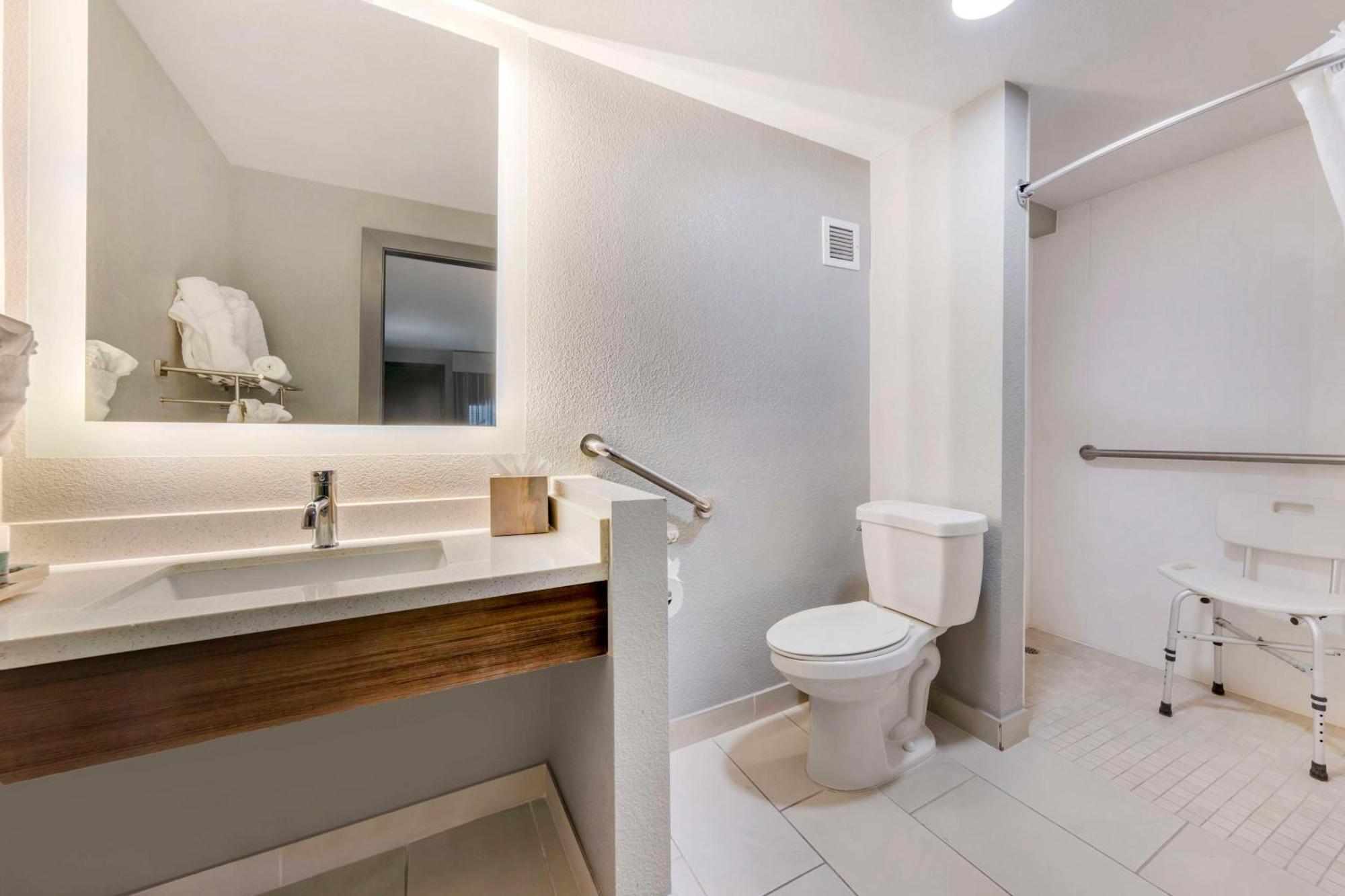 Queen Room Mobility Accessible Walk Shower,1617465979:JPEG