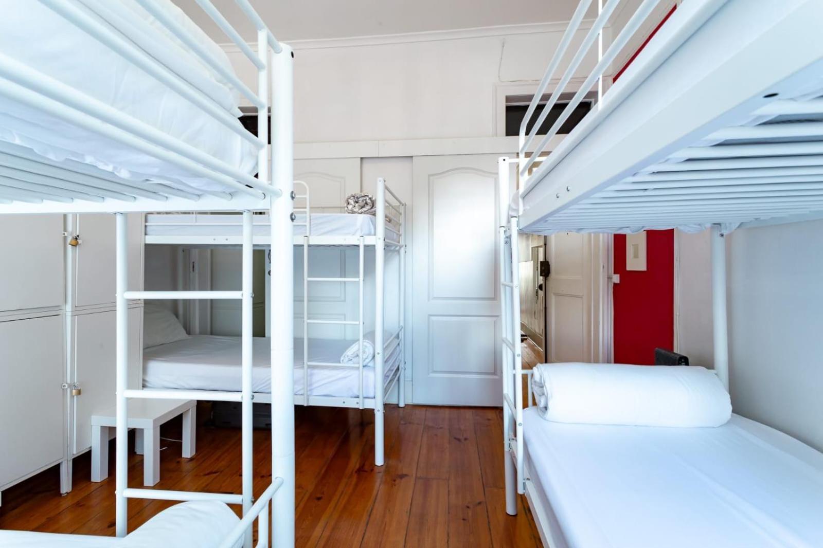Bunk Bed Mixed Dormitory Room