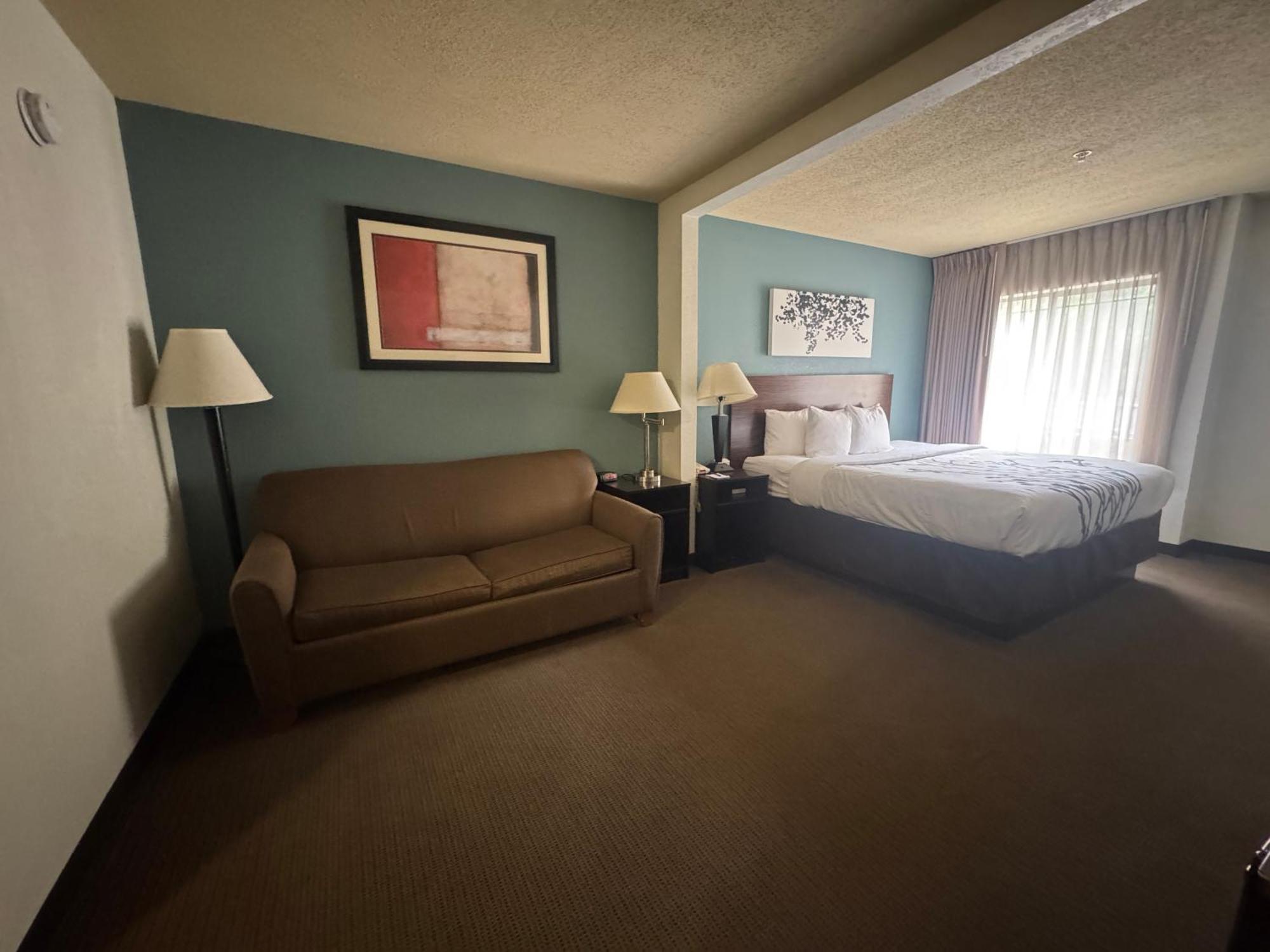 King Suite Sofa Bed Non Smoking