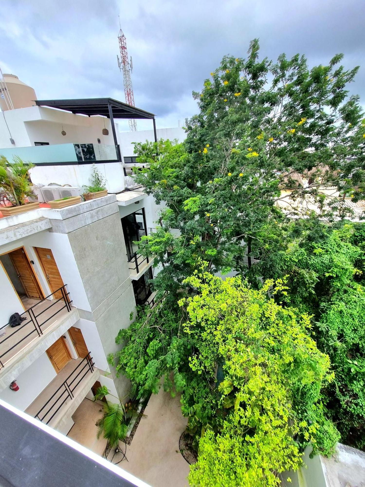 Penthouse Appartement