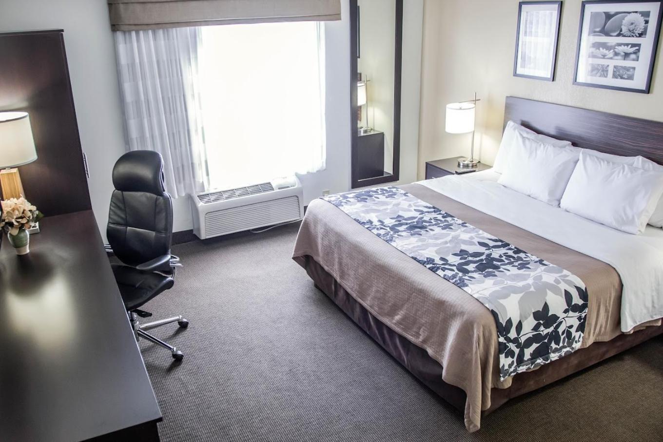 King Room Non Smoking