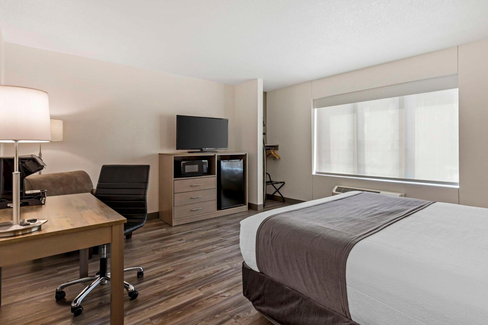 Queen Room with Roll-In Shower - Disability Access
