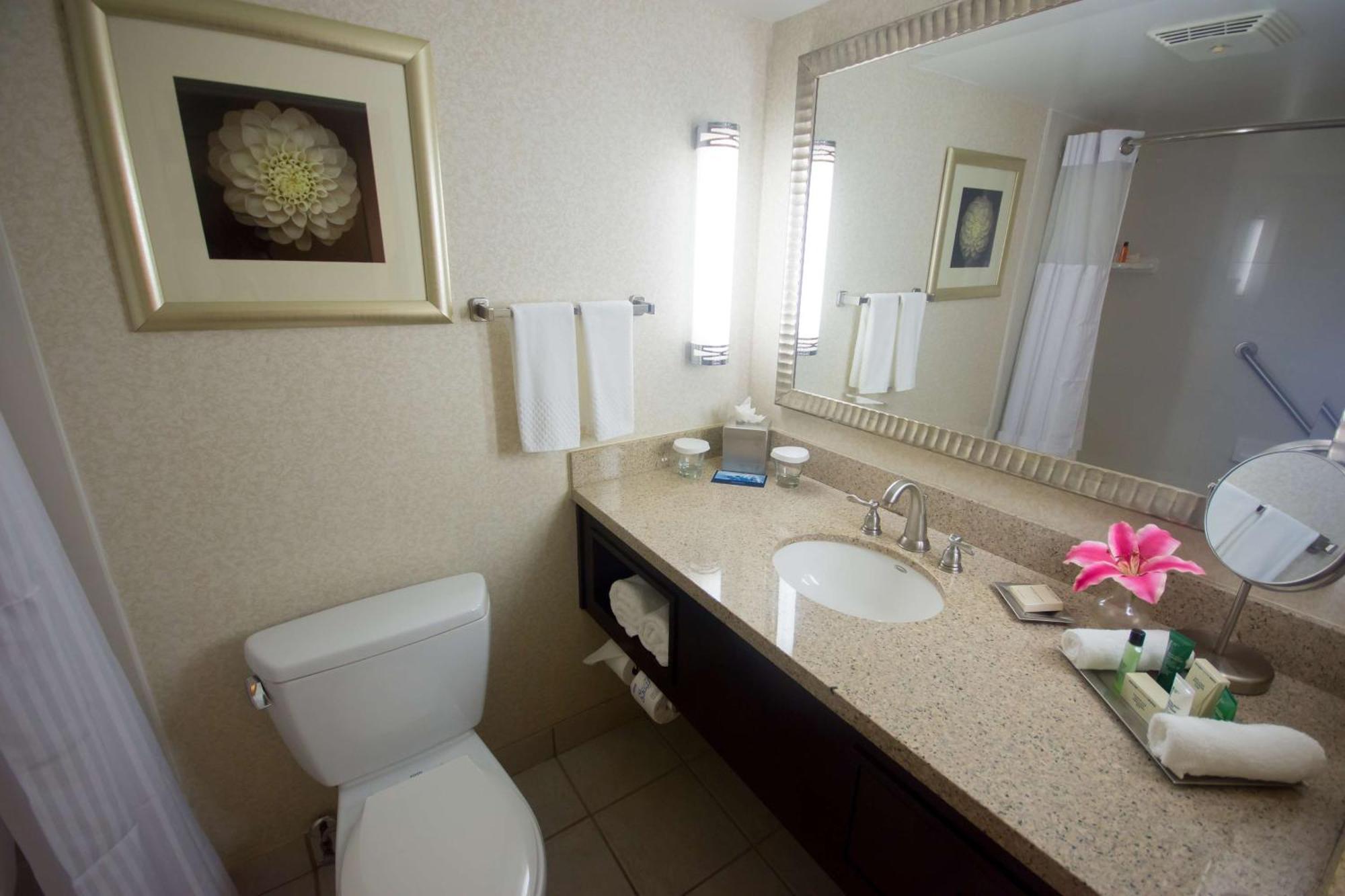 Executive One Bedroom Suite Non-Smoking,1622020136:JPEG