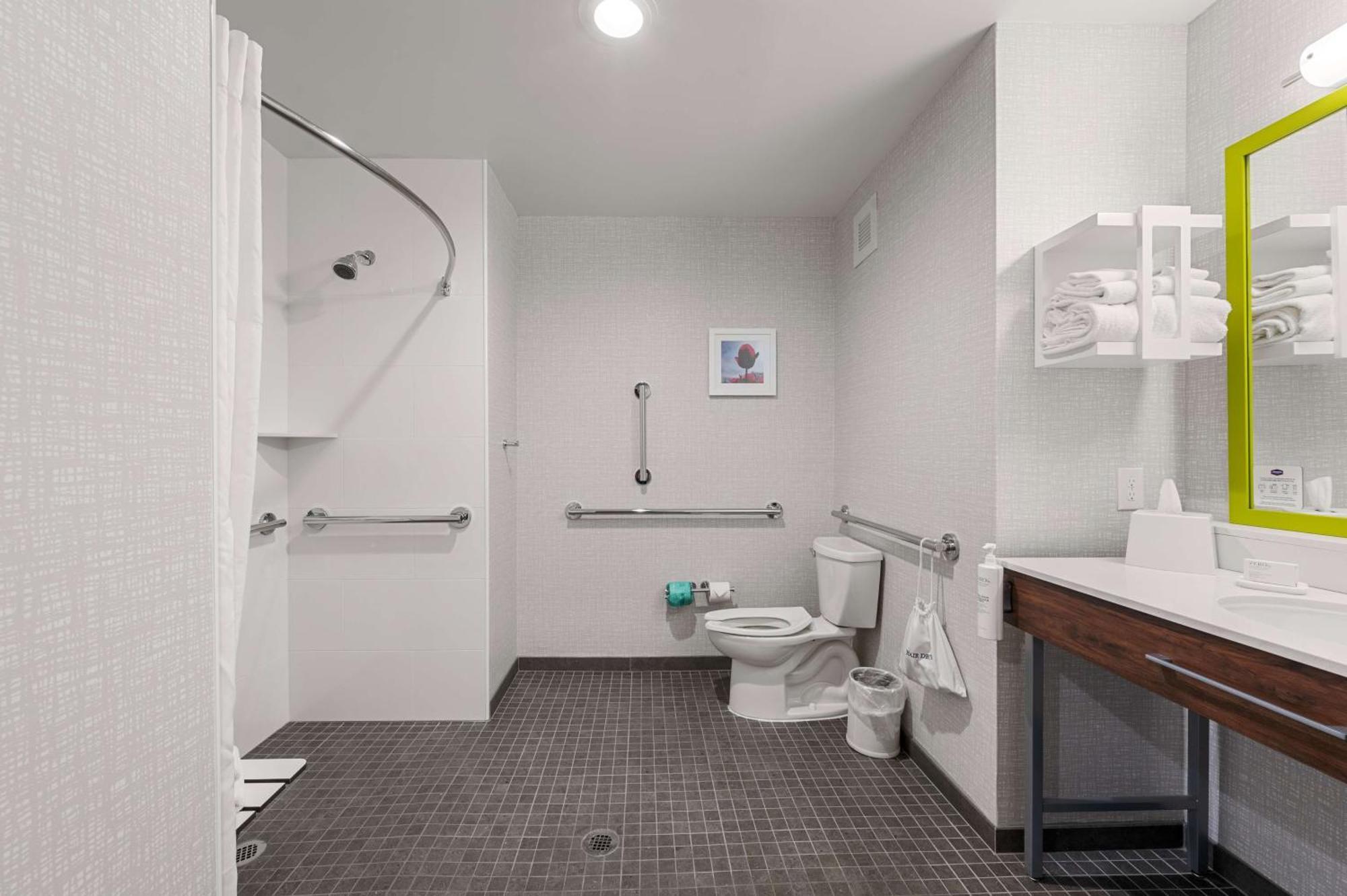 King Room Roll Shower Mobility Hearing Access or Non-Smoking,1772903935:JPEG