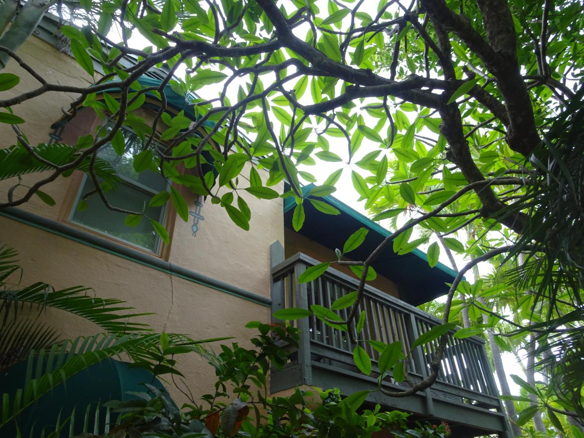 One-Bedroom Family Apartment