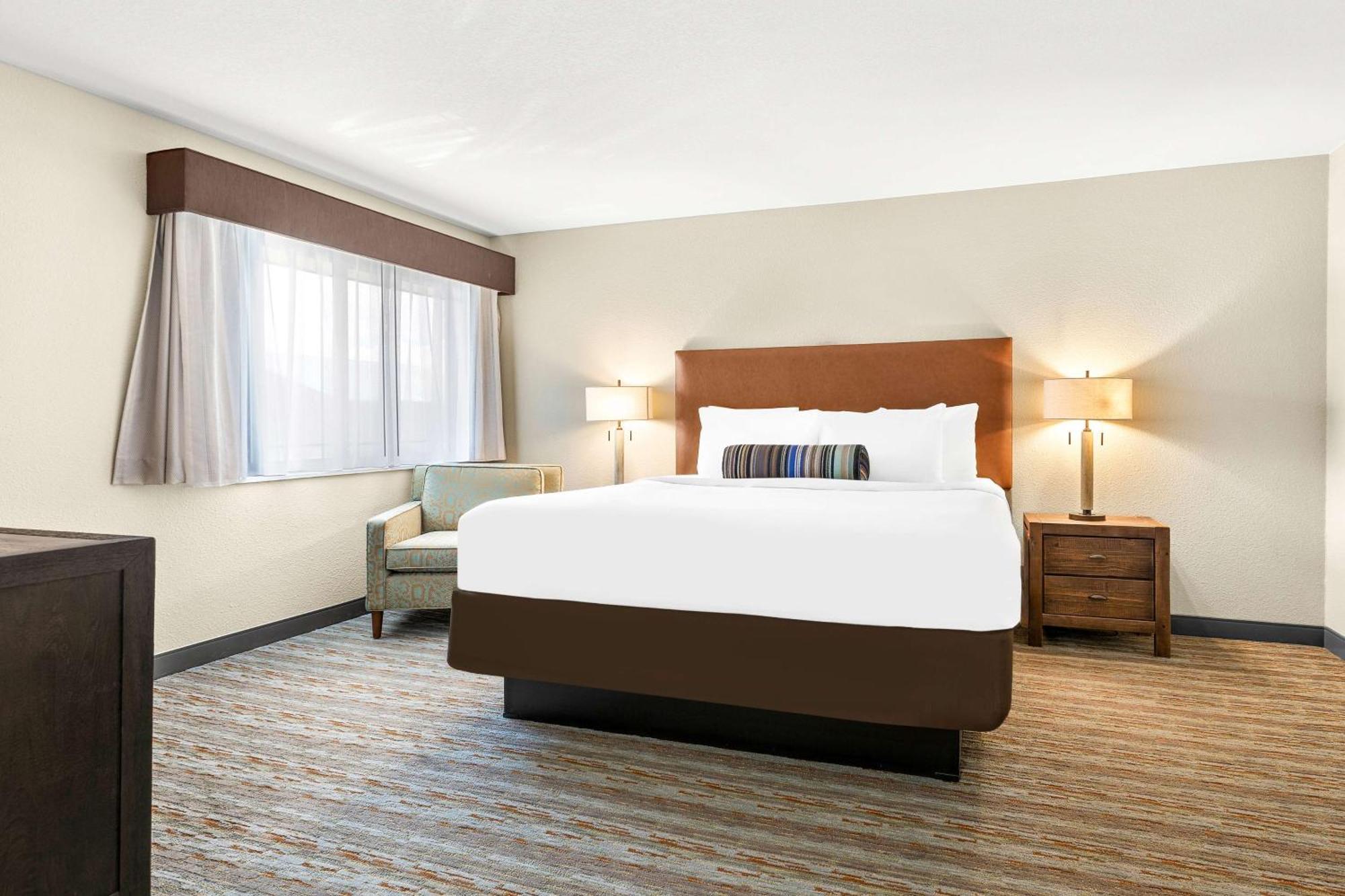 One-Bedroom King Suite Sofa Bed