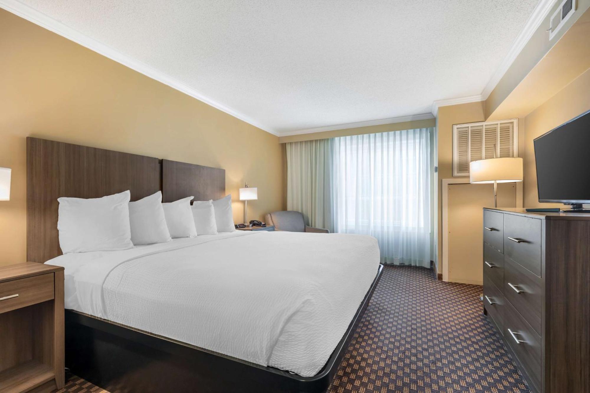 King Suite