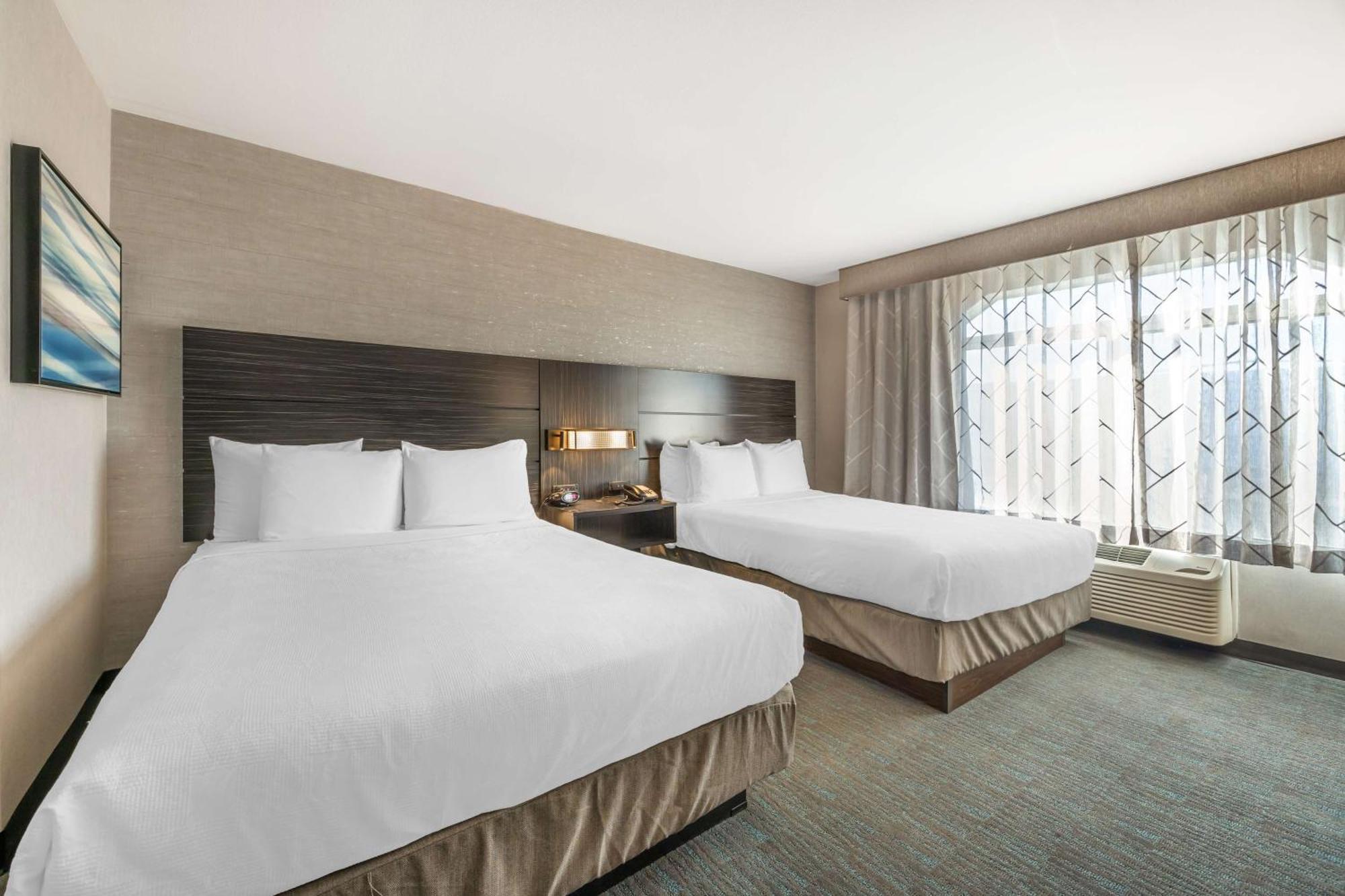 Queen Suite two Queen Beds One Sofa Bed Non-Smoking