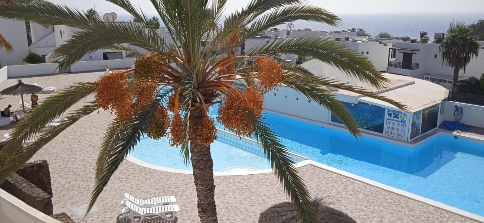 Studio Apartment Sea View