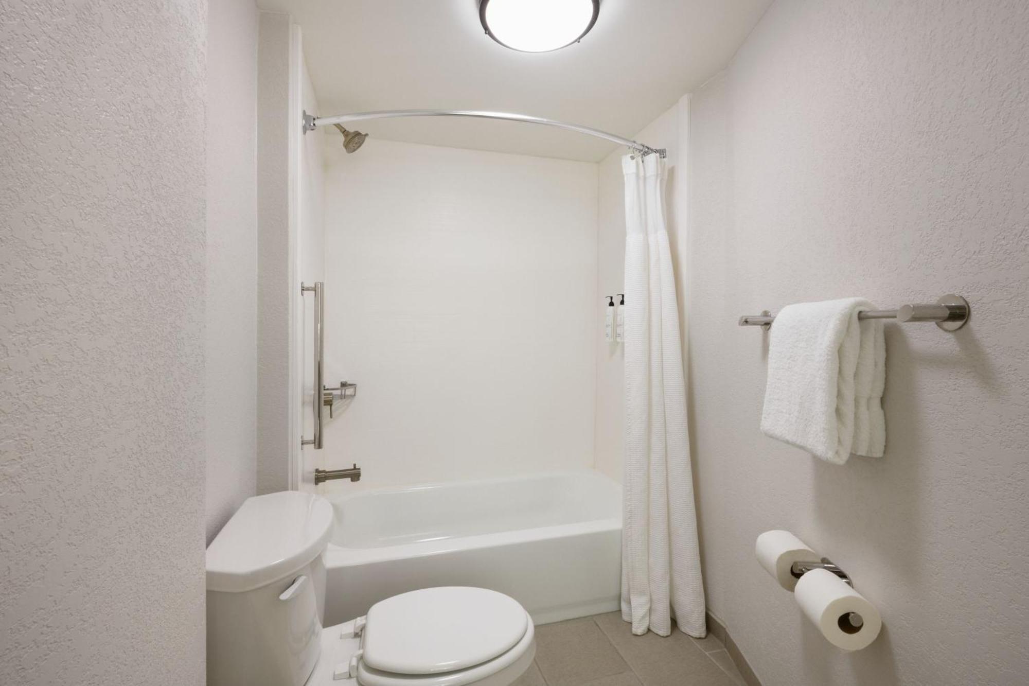 King Suite Bathtub Trundle Sofa Mobility Access or Hearing Accessible