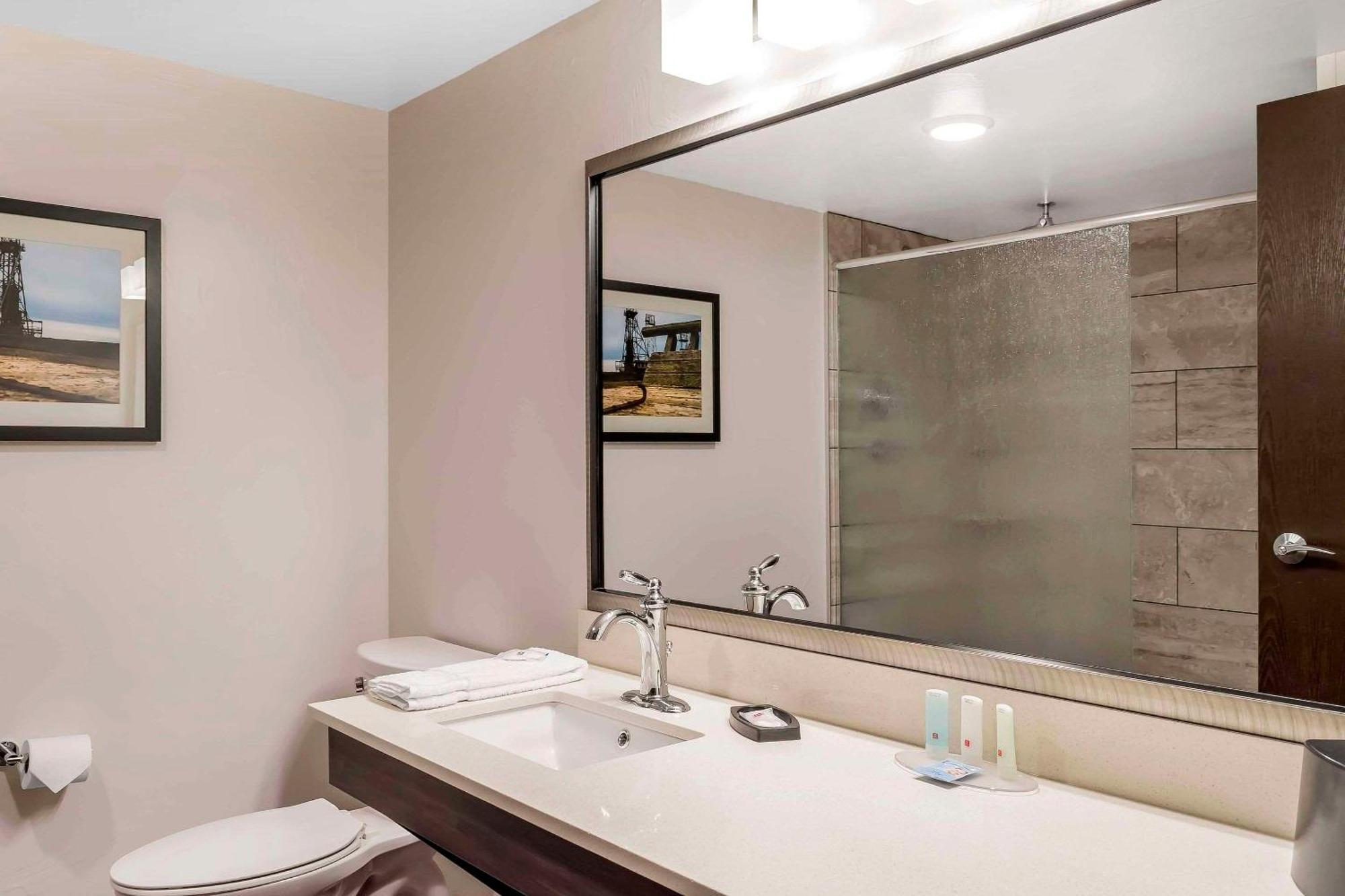 King Suite Disability Access or Non-Smoking
