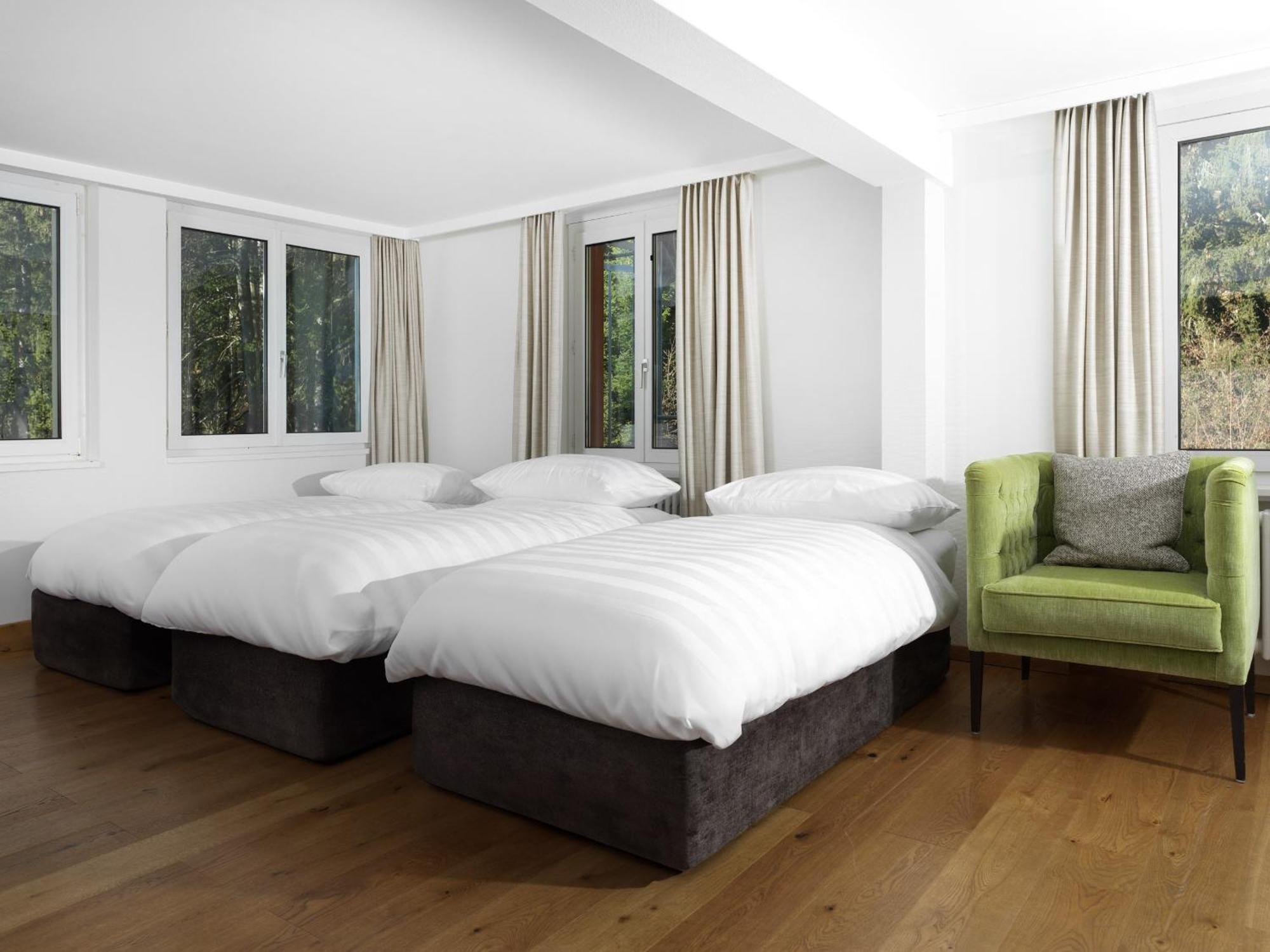 Suite forest view