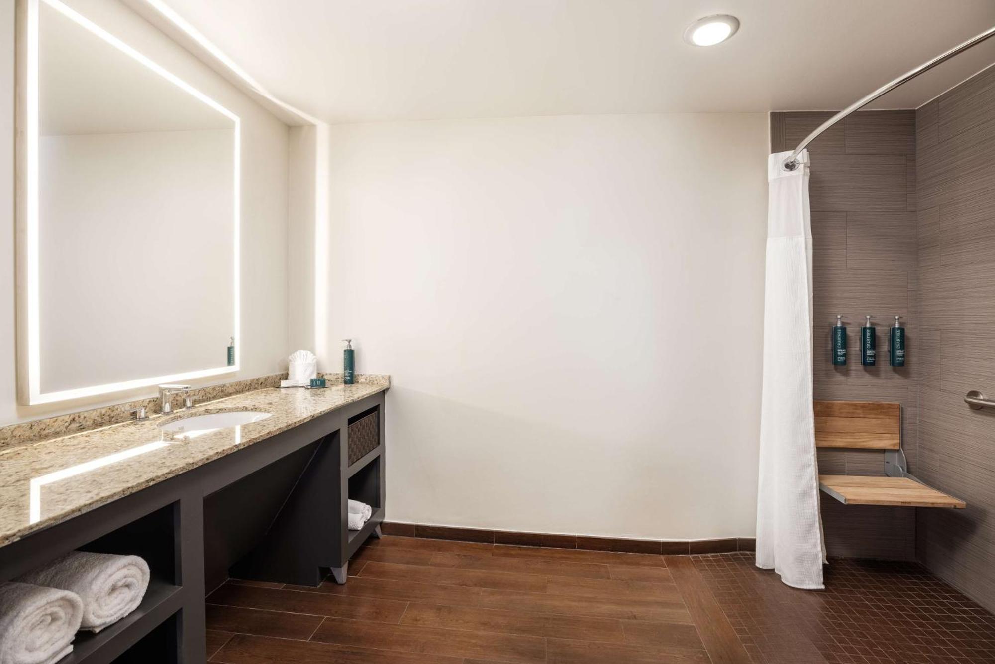 King Suite Disability Access or Non-Smoking