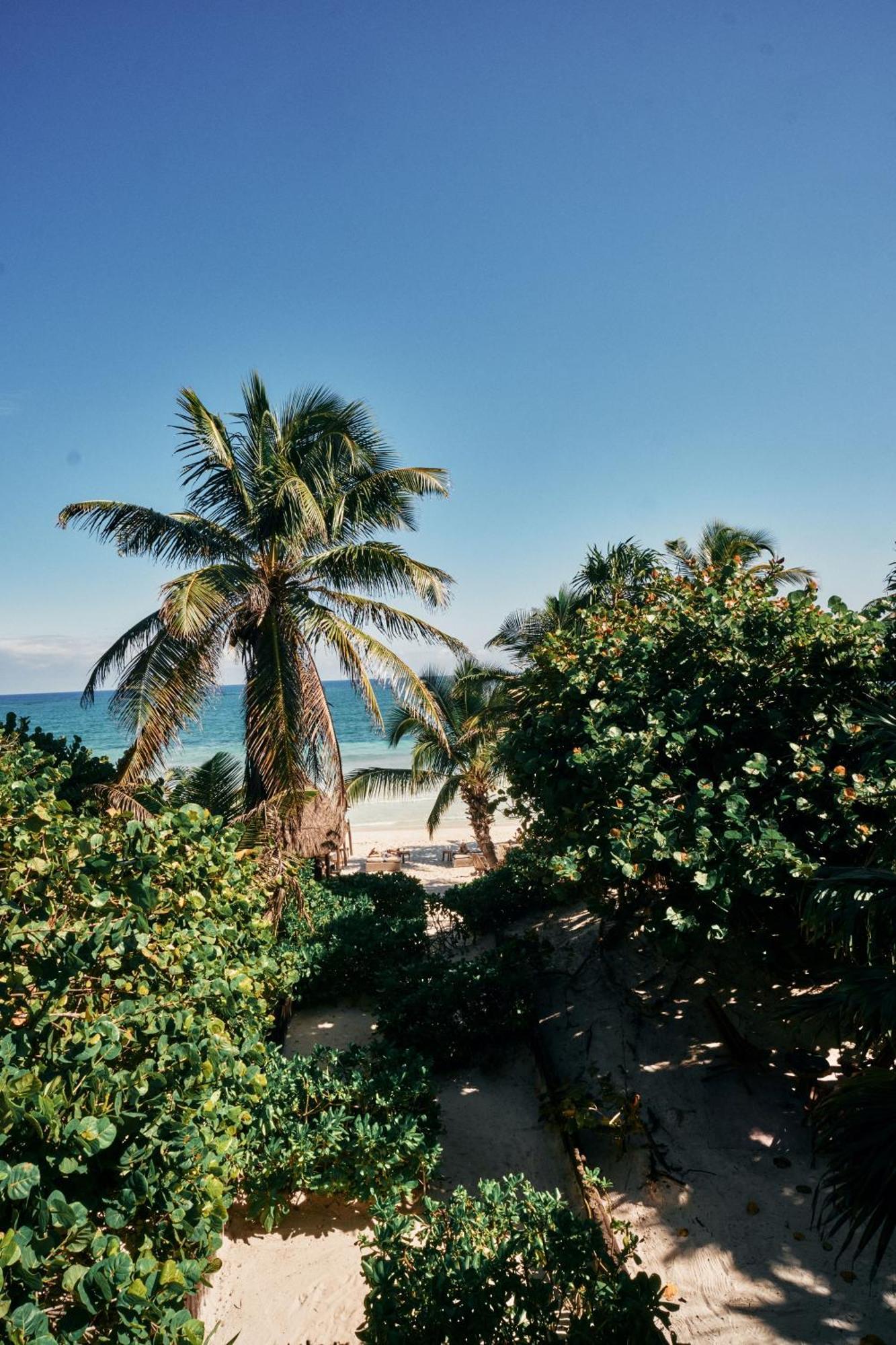 King Room Sea View