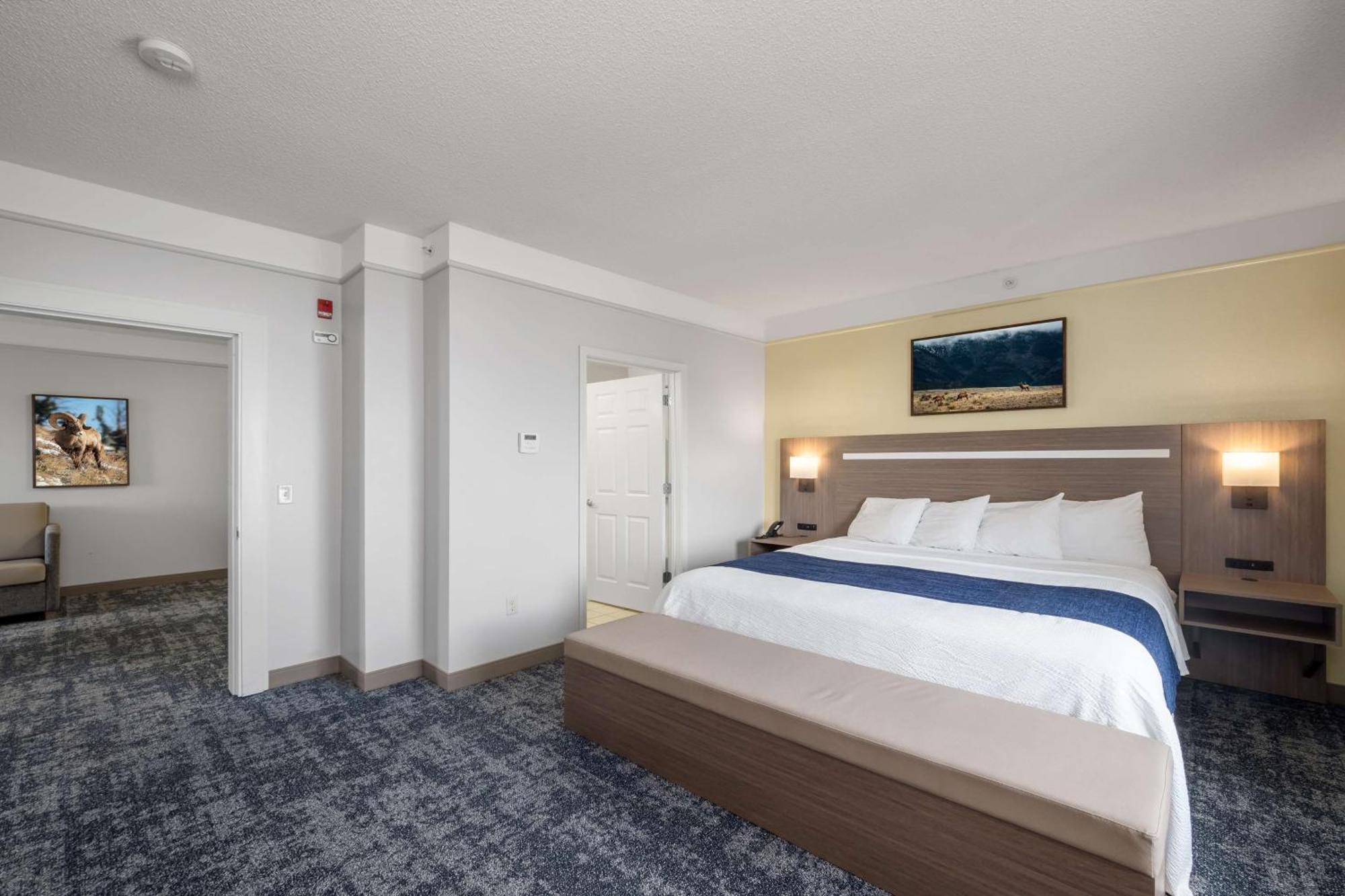One-Bedroom King Suite Sofa Bed Living Room Non-Smoking