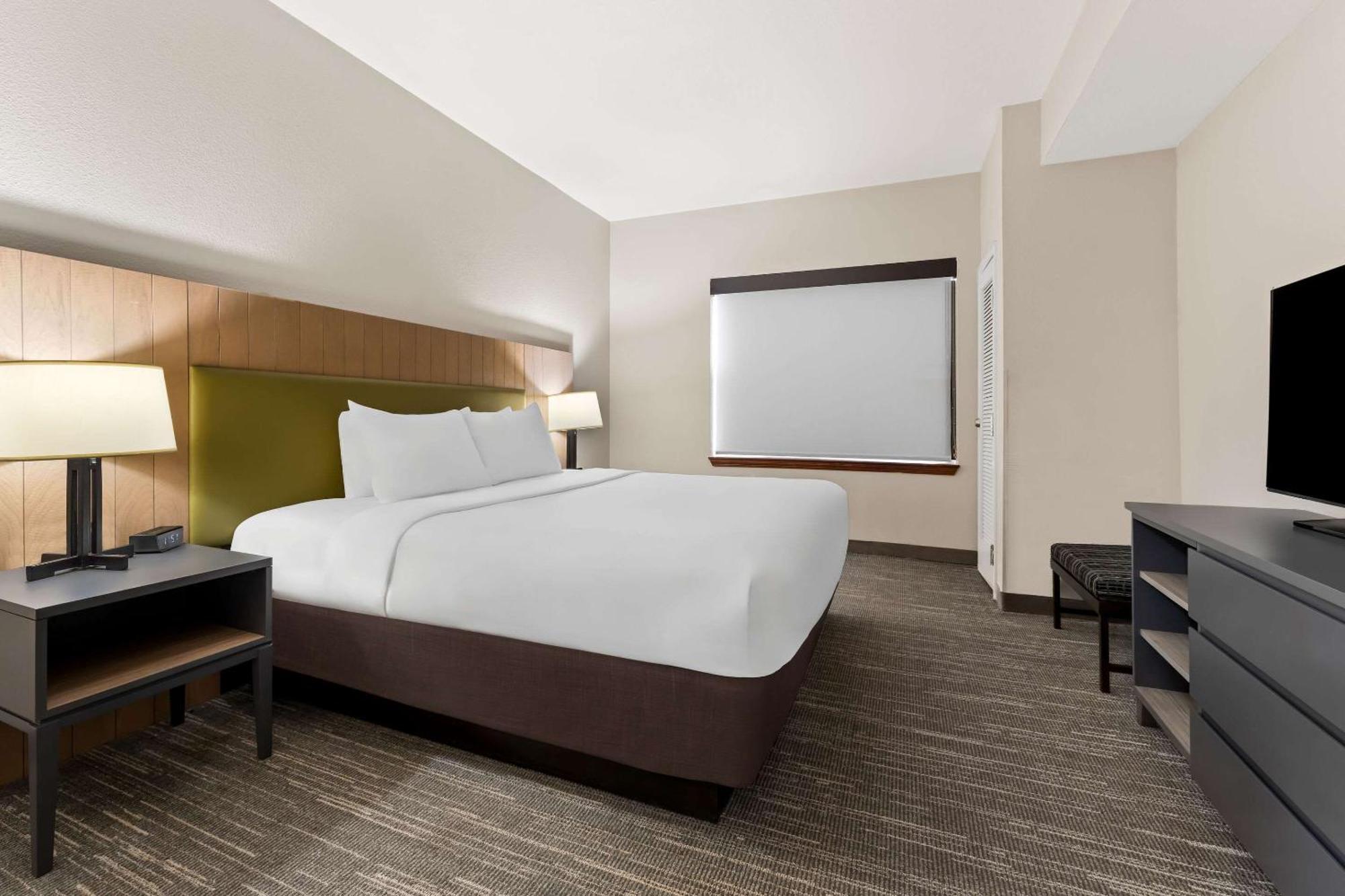 One-Bedroom Suite
