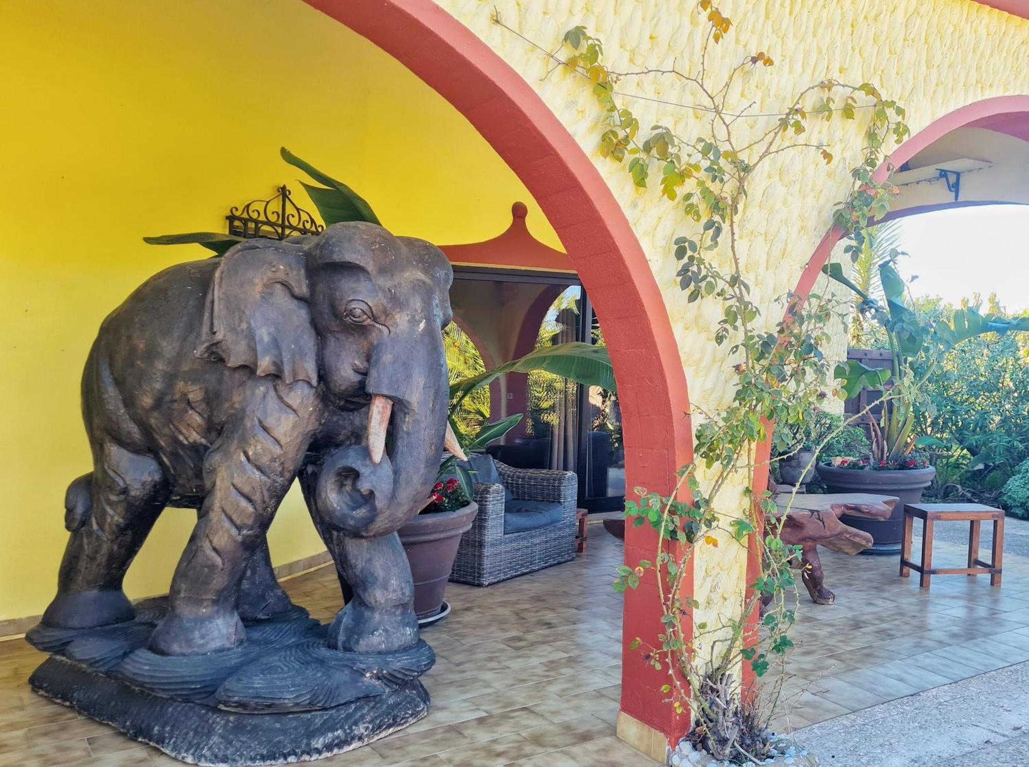 Suite Garden View