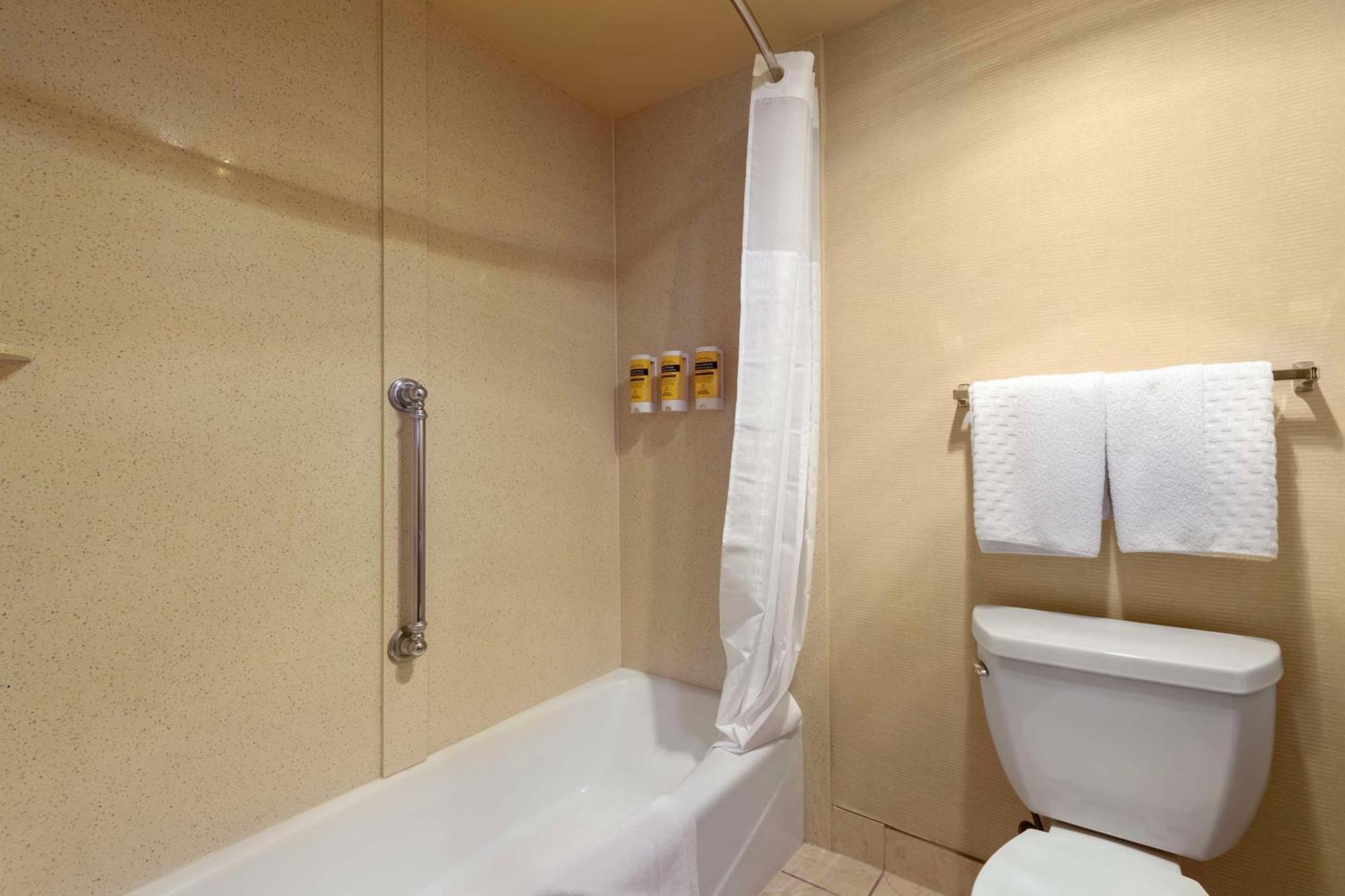 King Room Sofa Wet Bar Interior Room or Non-Smoking,1631561739:JPEG