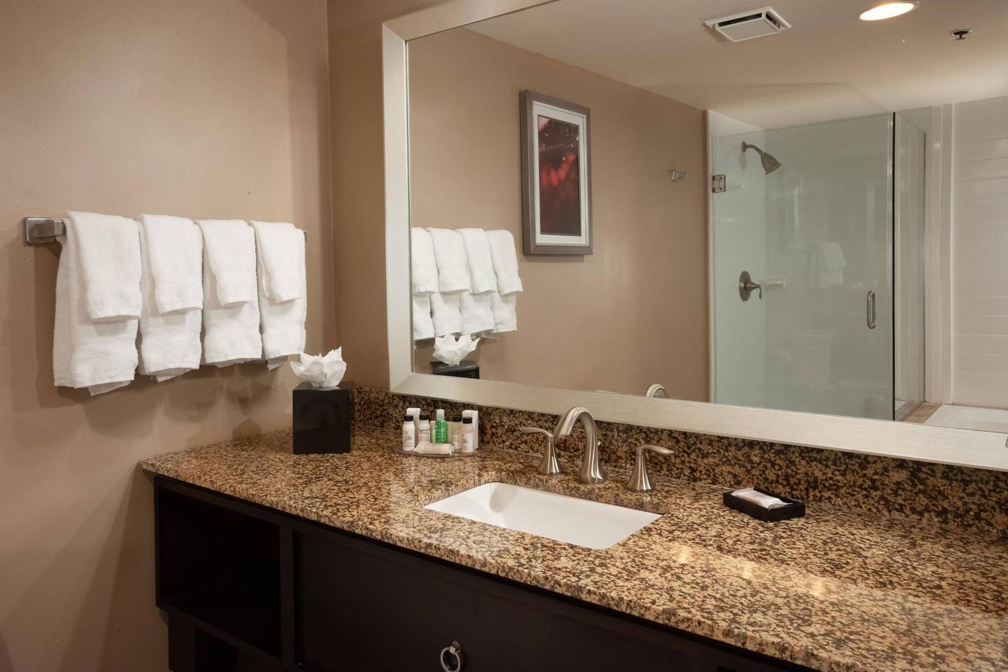 One-Bedroom King Suite