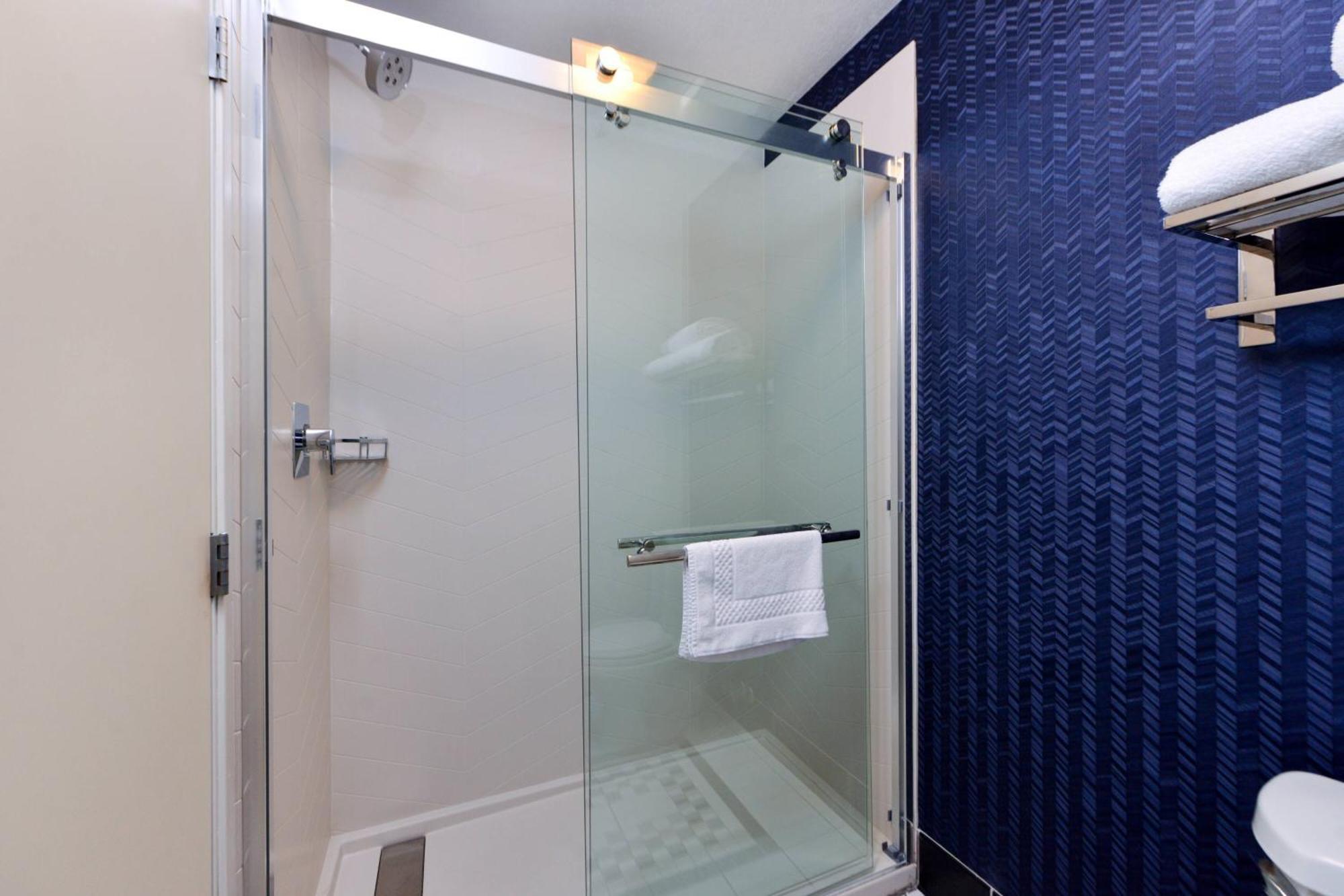 King Suite Transfer Shower Roll Shower Sofa Bed Mobility Access