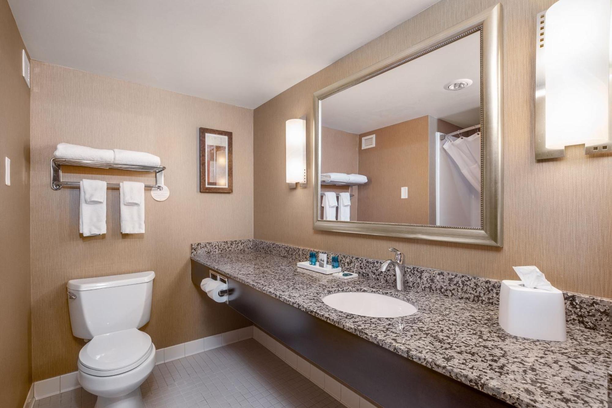 King Suite Sofa Bed