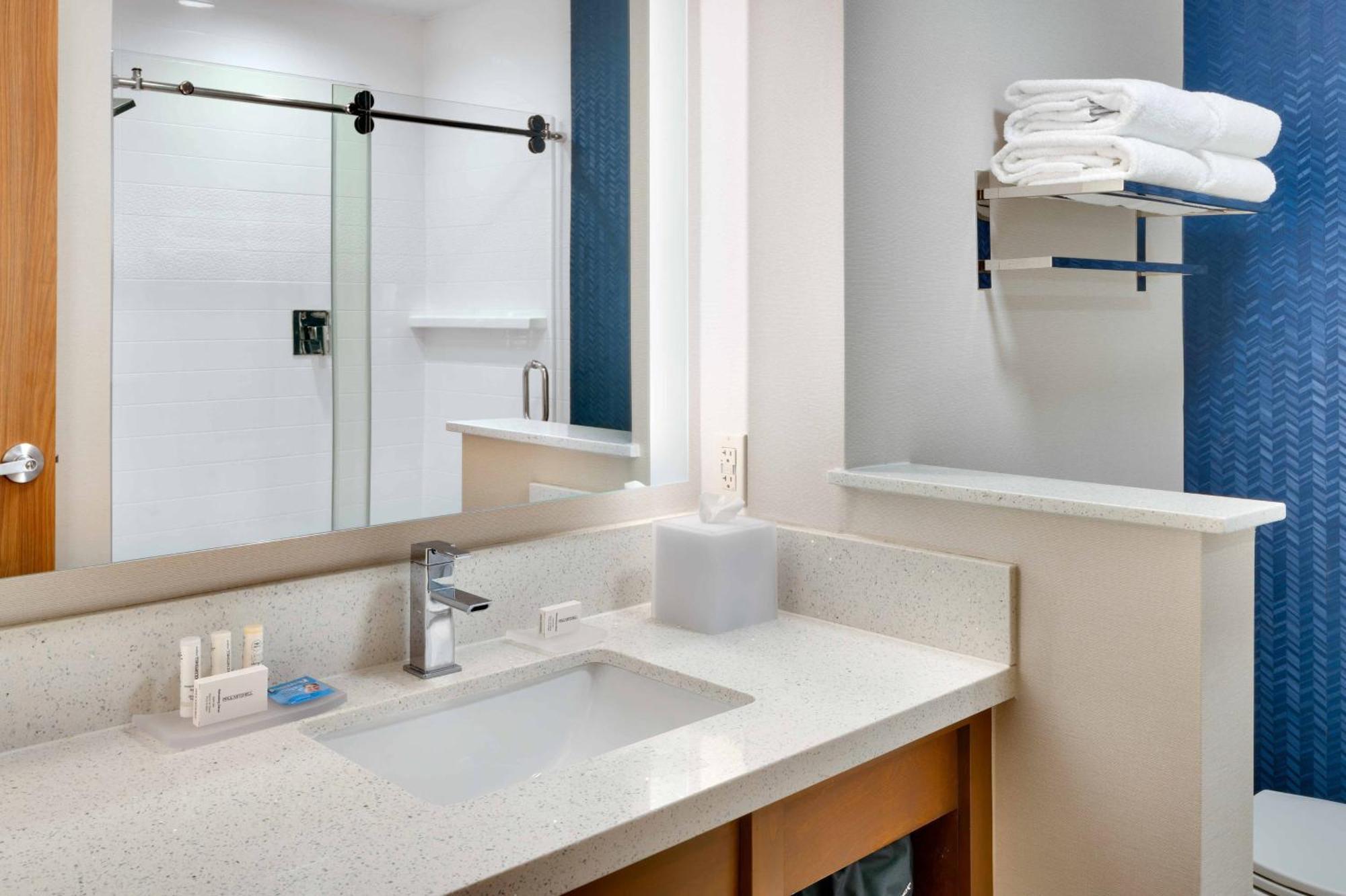King Room Roll Shower Mobility Access or Hearing Accessible
