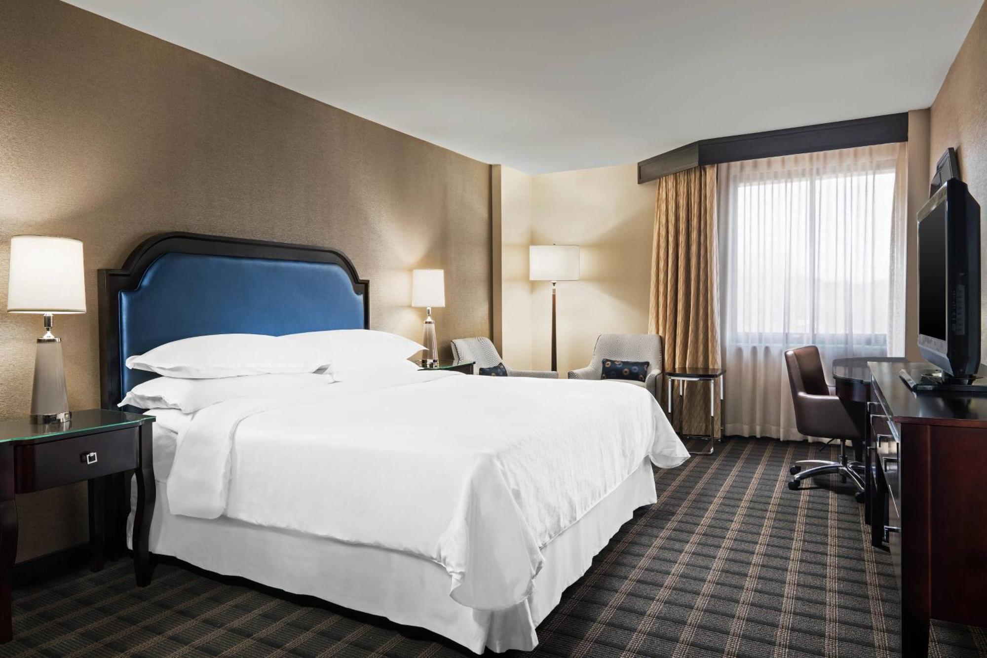 Deluxe Guest room 1 King,1634405637:JPEG