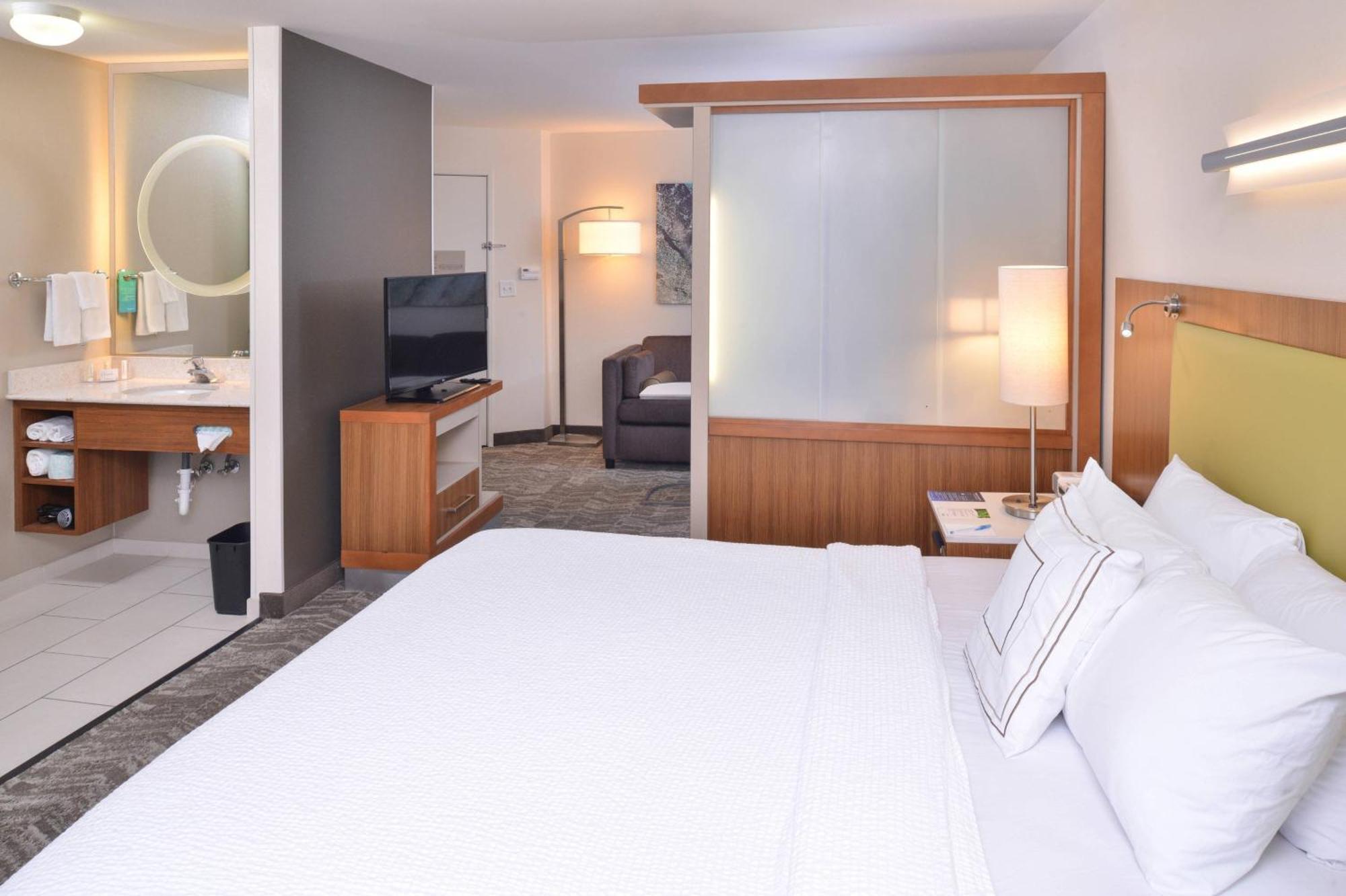 King Suite Bathtub Sofa Bed Mobility Access or Hearing Accessible