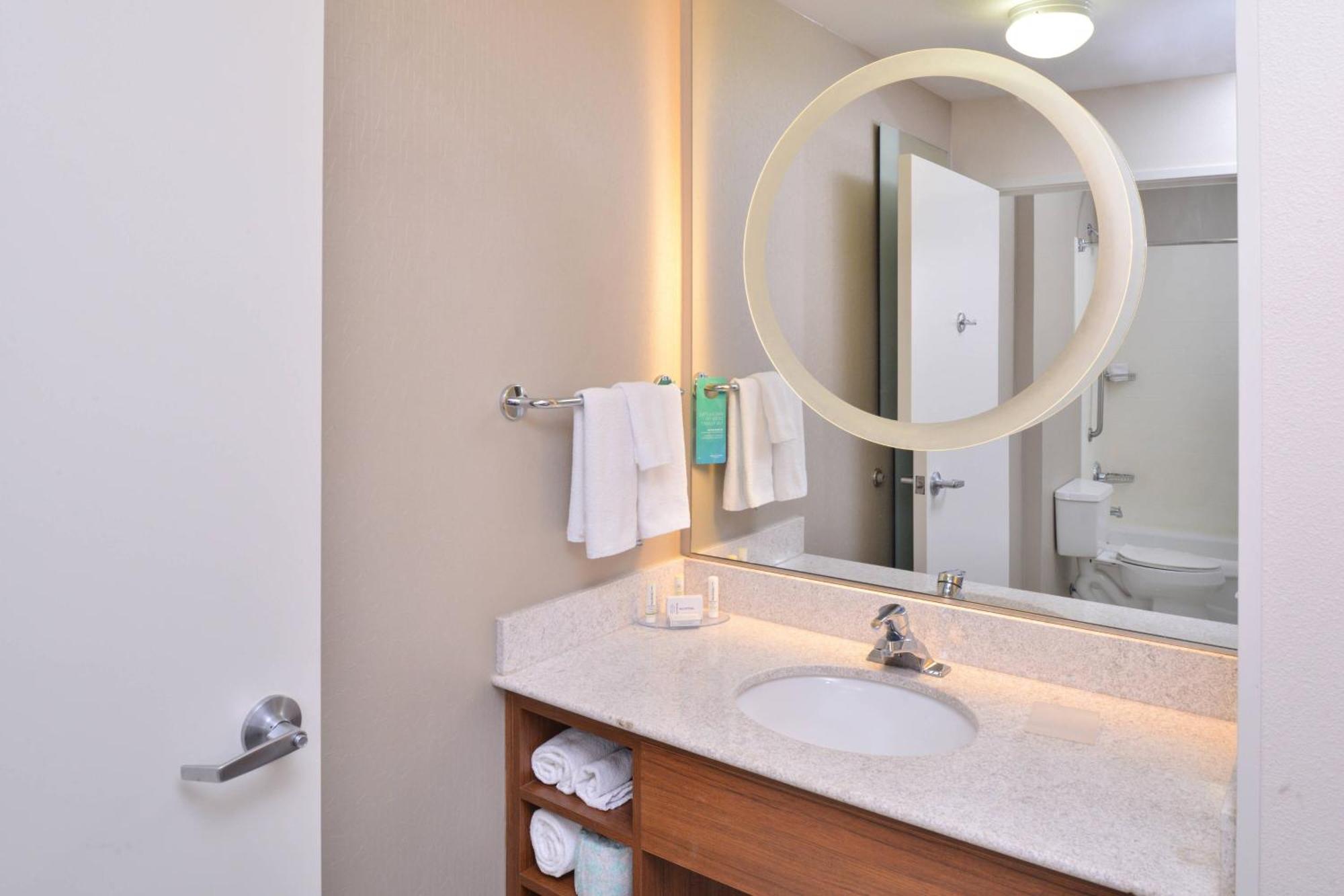 King Suite Bathtub Sofa Bed Mobility Access or Hearing Accessible