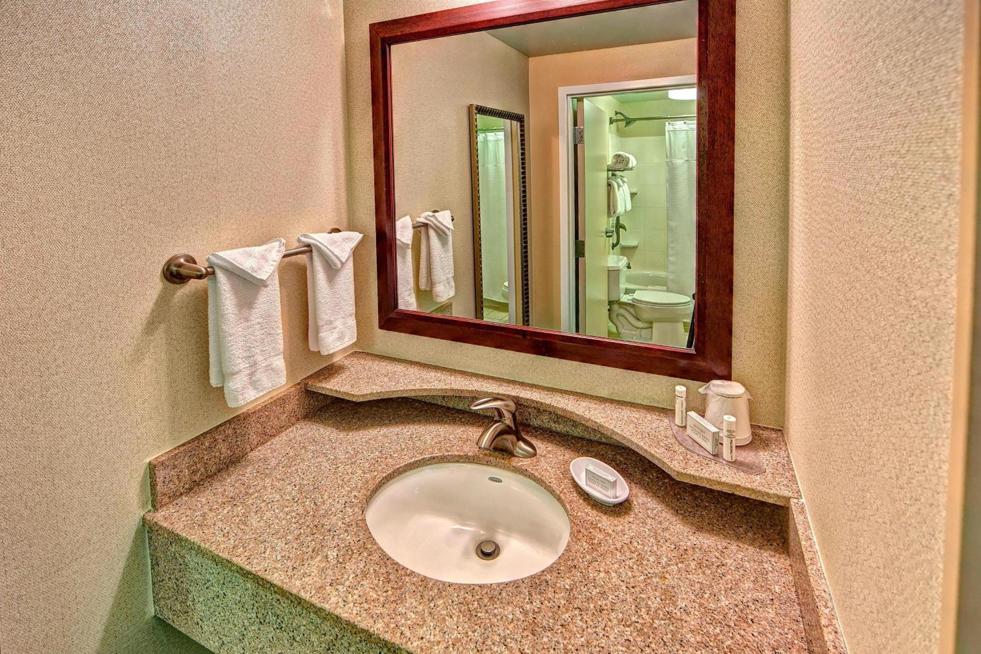 One-Bedroom King Suite Campus View Specialty Bathtub Sofa Bed
