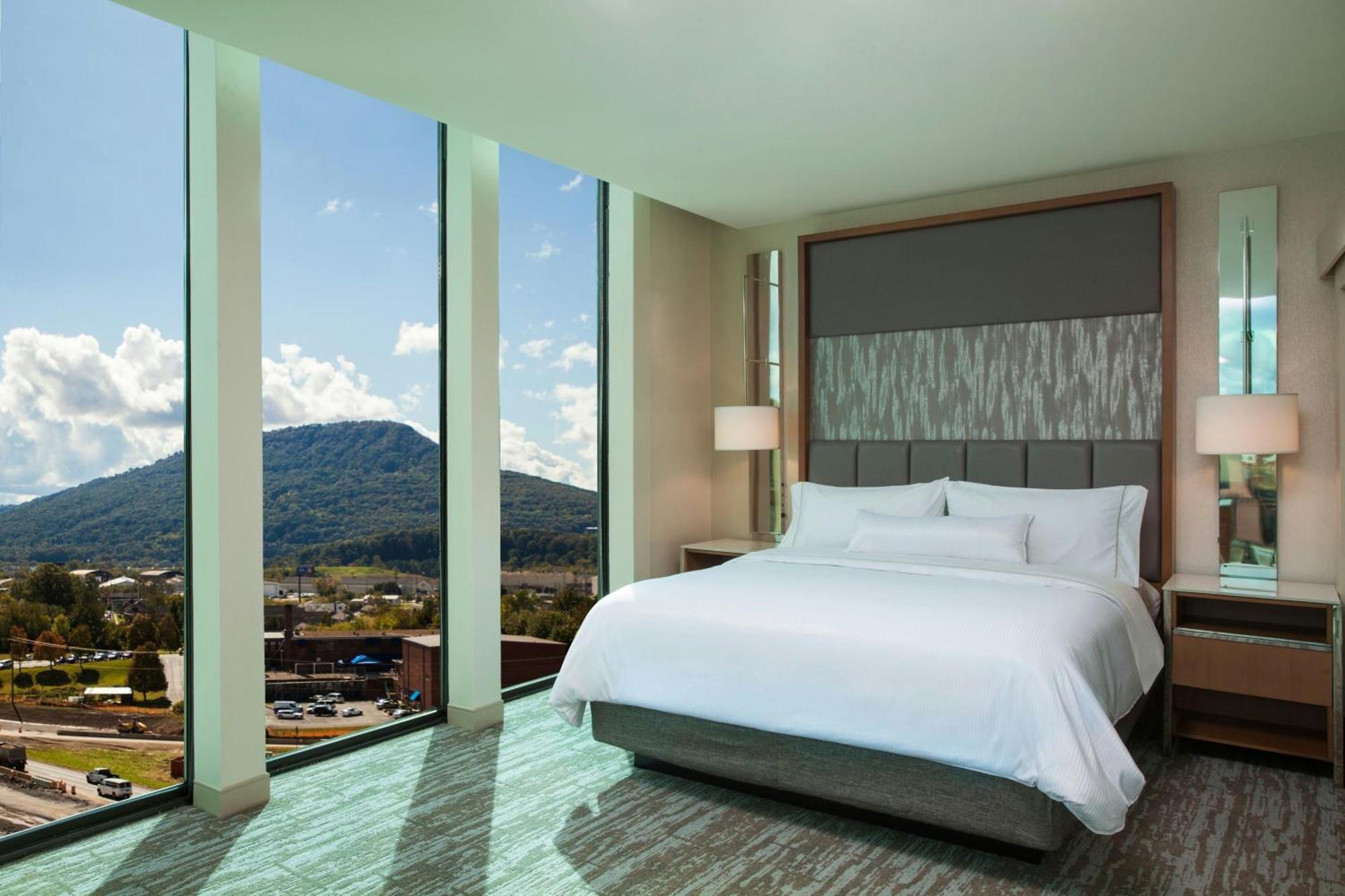 Guest room 1 King City view