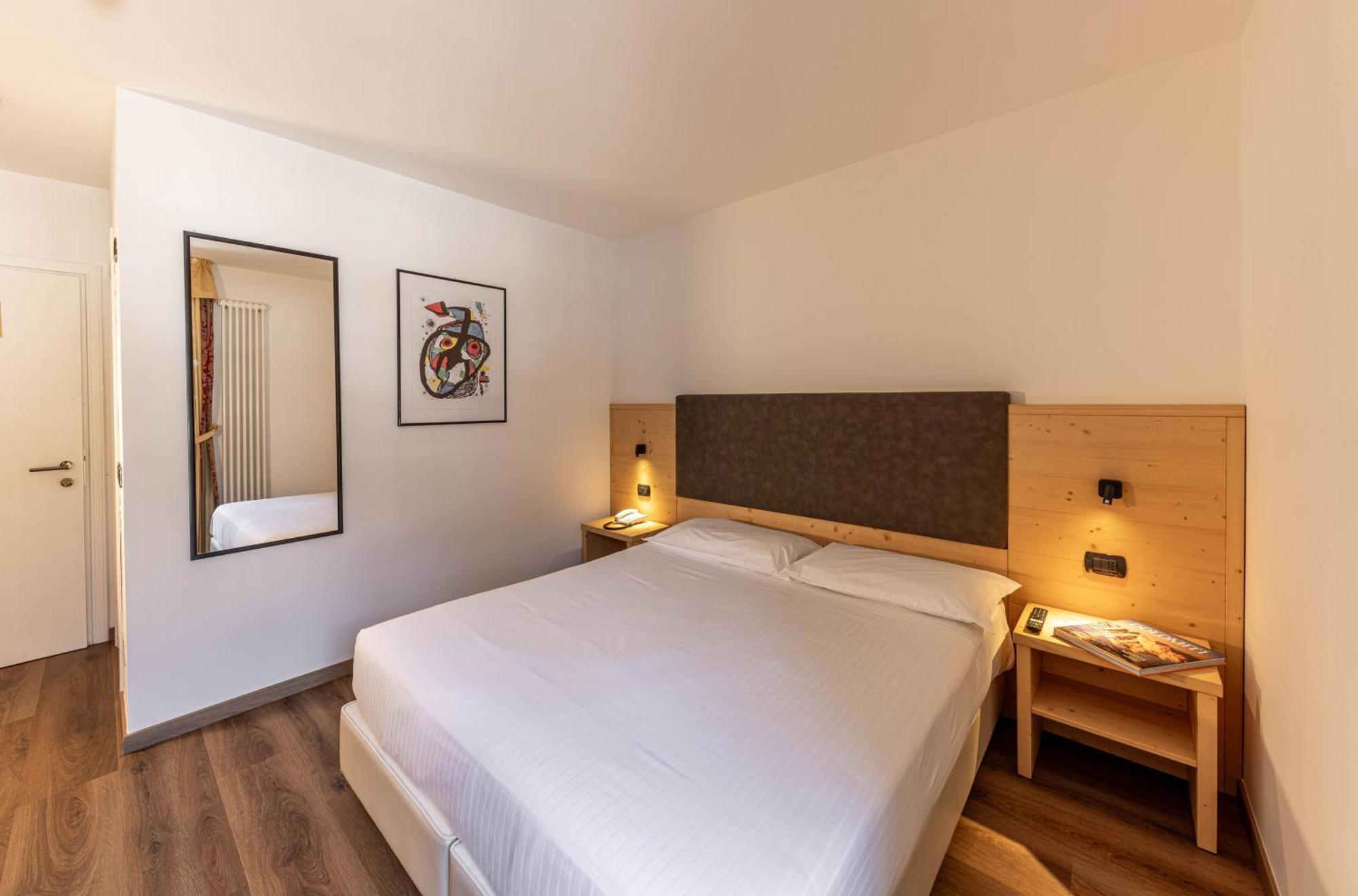 Superior Double or Twin Room Mountain View