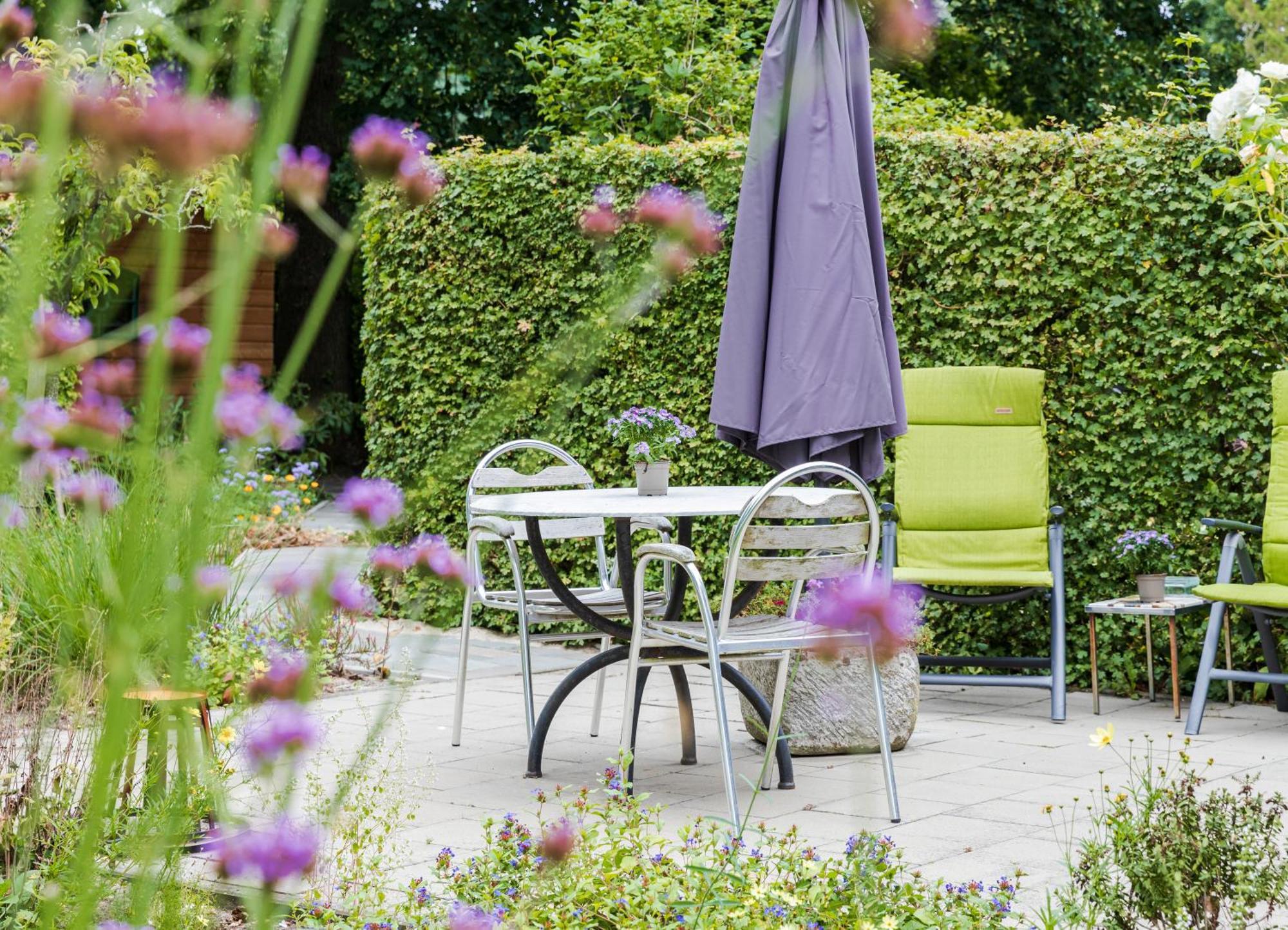 King Room Garden View
