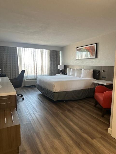 King Room,1638482253:JPEG
