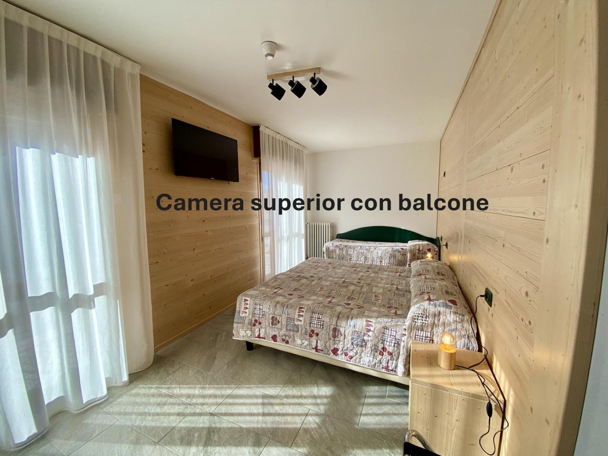 Superior Double or Twin Room Mountain View