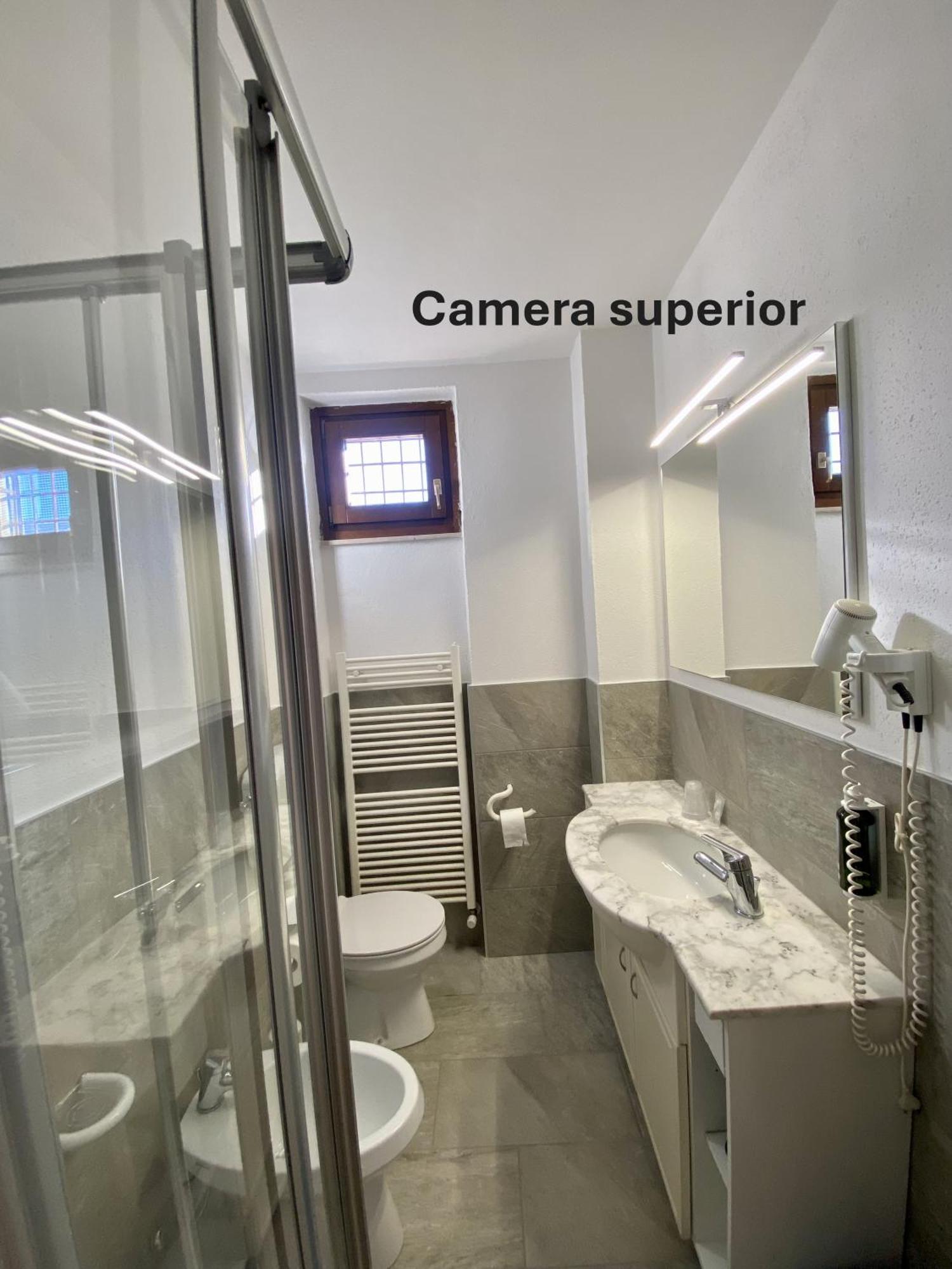 Superior Double or Twin Room Mountain View