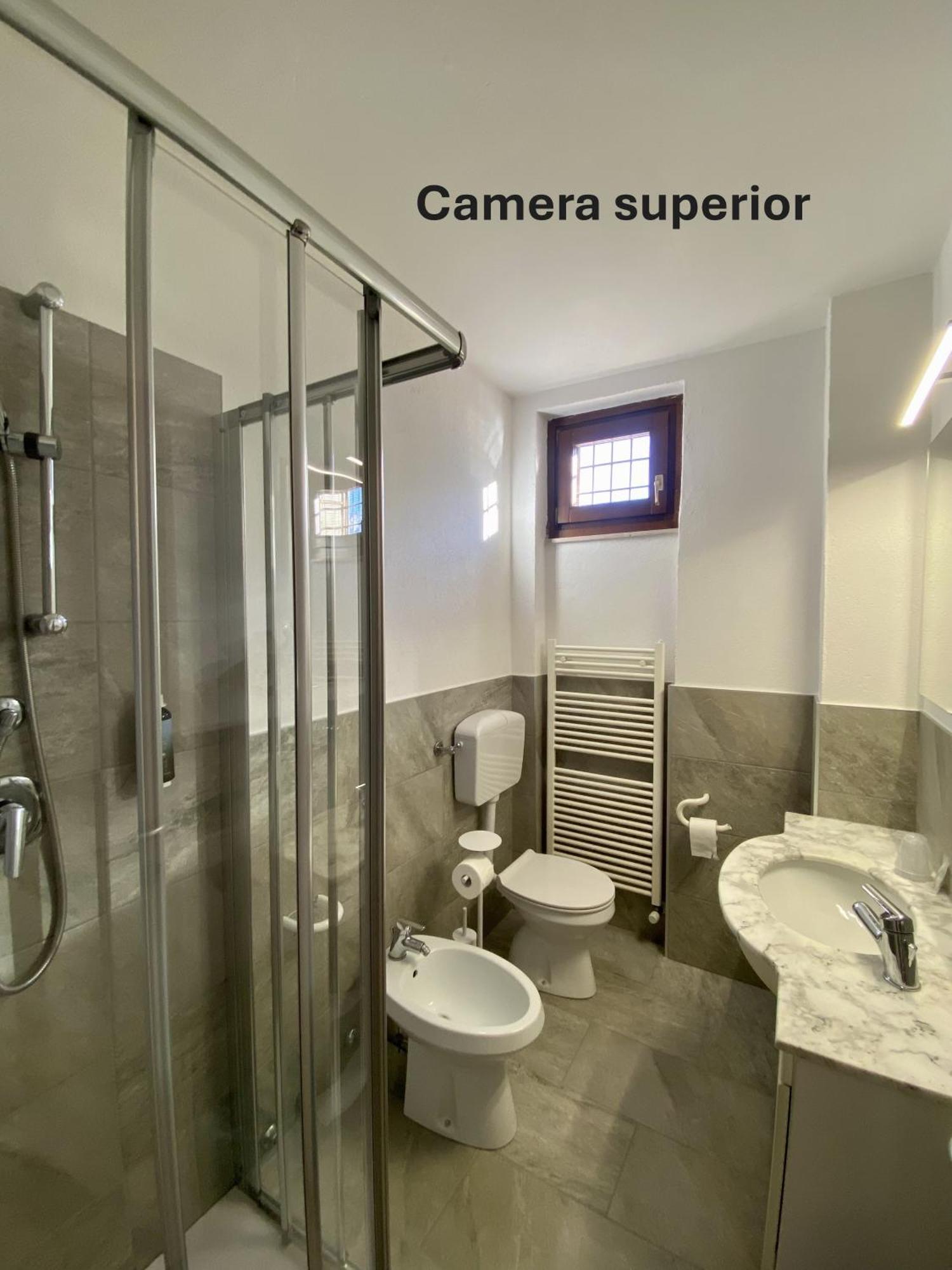 Superior Double or Twin Room Mountain View