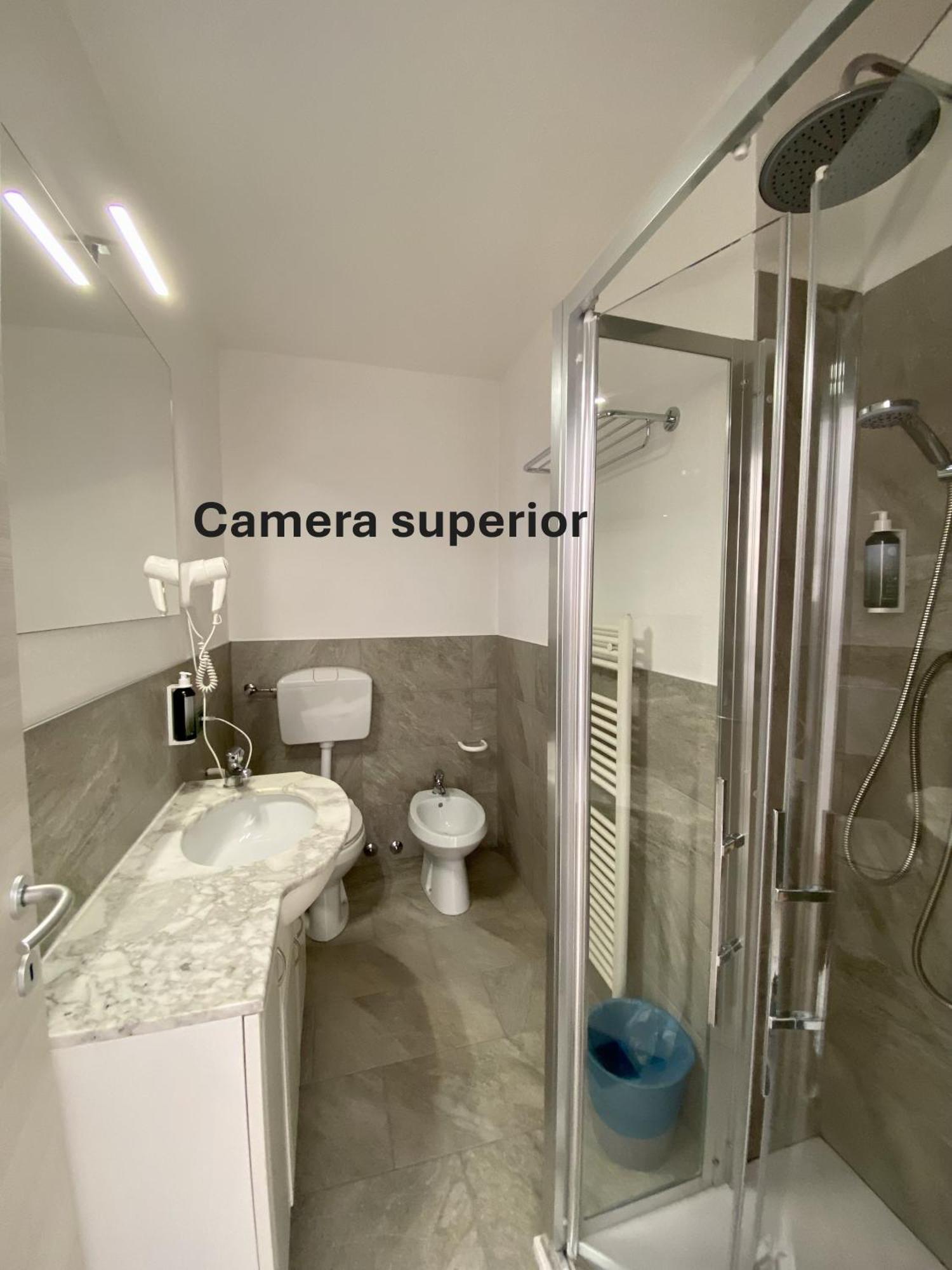 Superior Double or Twin Room Mountain View