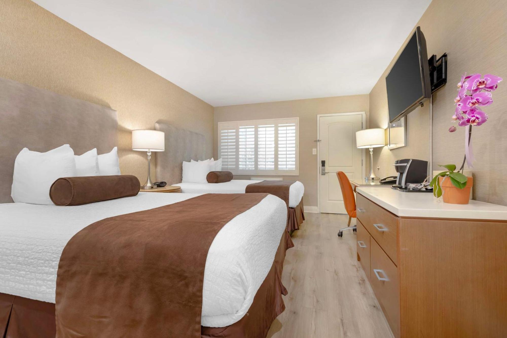 Double Room Two Double Beds