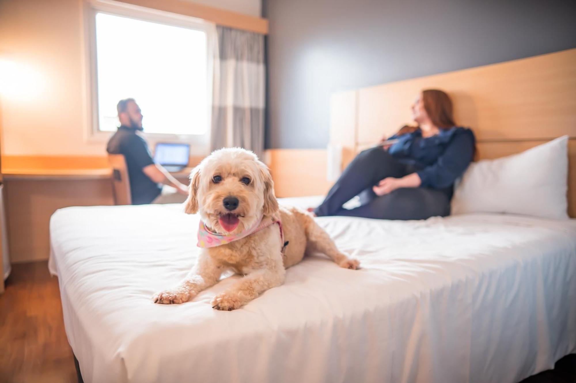 Standard Double Room,1705027039:JPEG