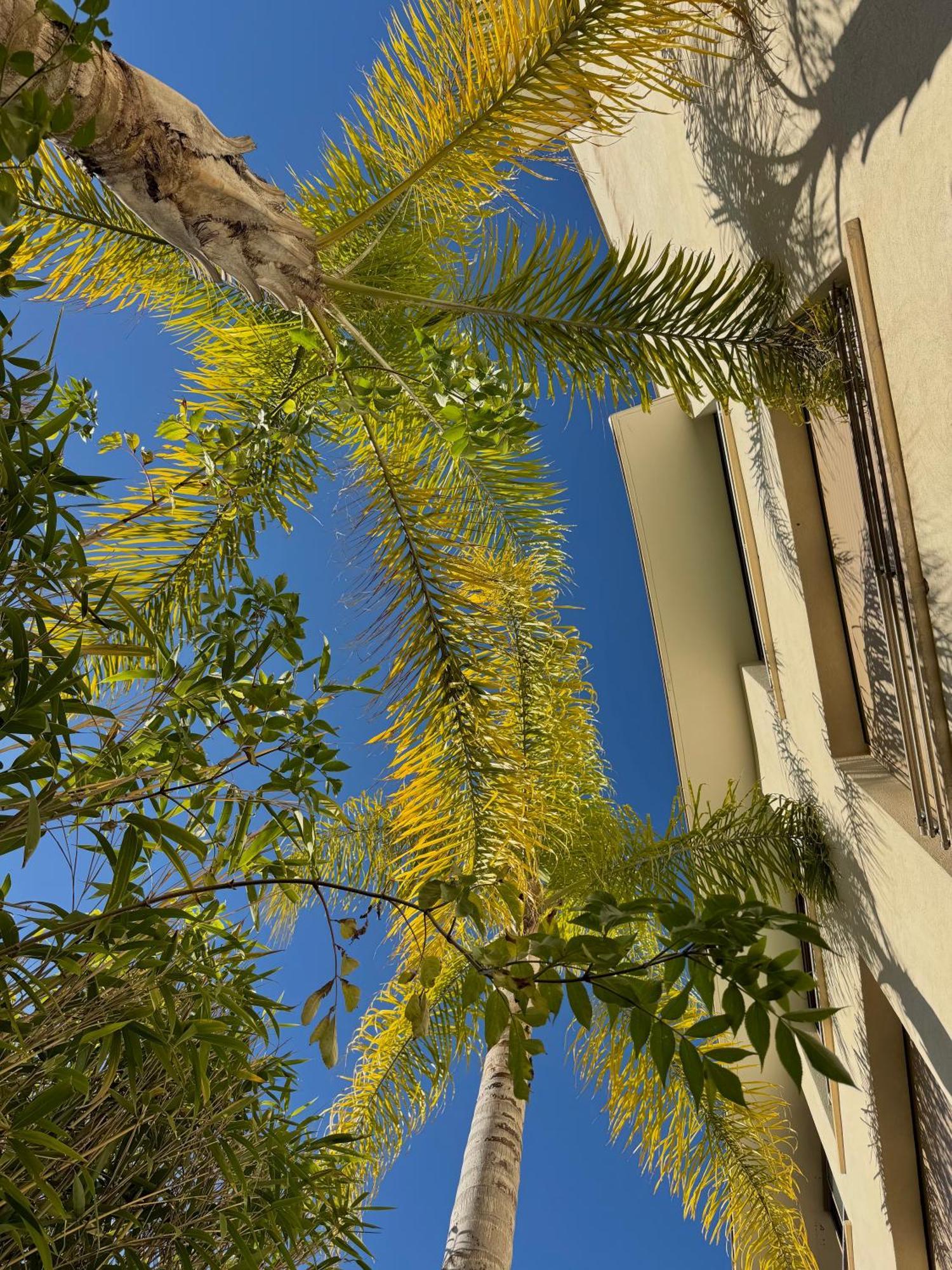 Deluxe Double Room Terrace
