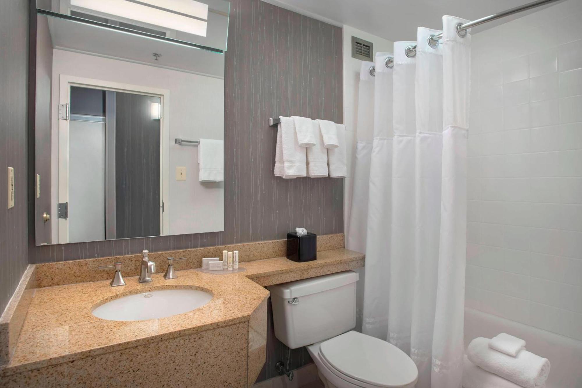 King Room with Bathtub and Sofa Bed - Mobility Access