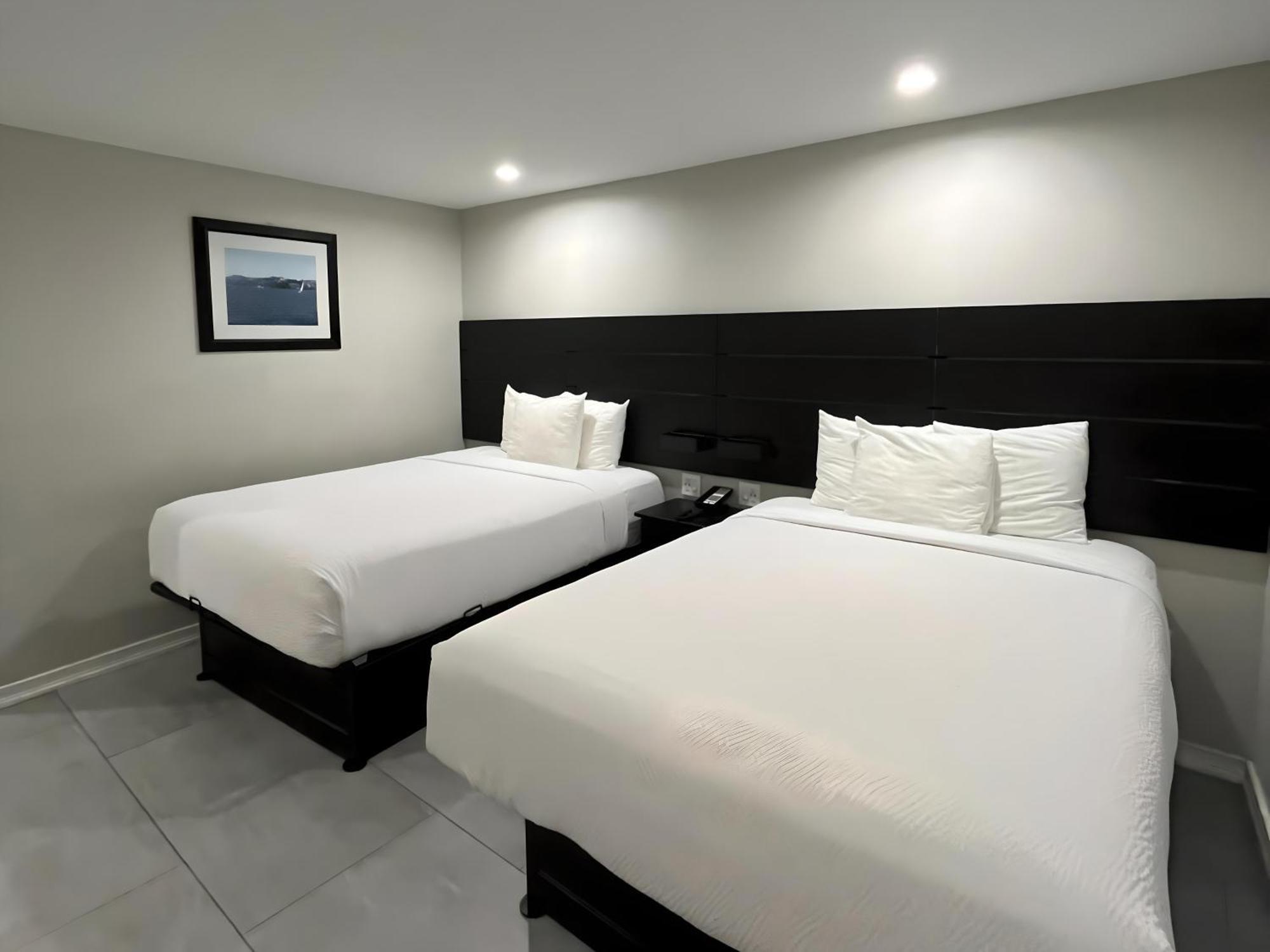 Queen Room Two Queen Beds Pet-friendly,1643761842:JPEG