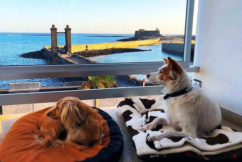 Standard Twin Room Sea View