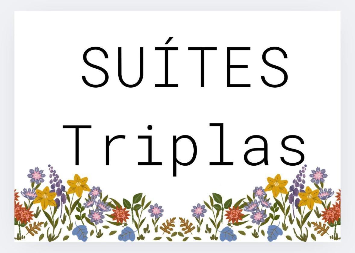 Triple Room,1647733798:JPEG