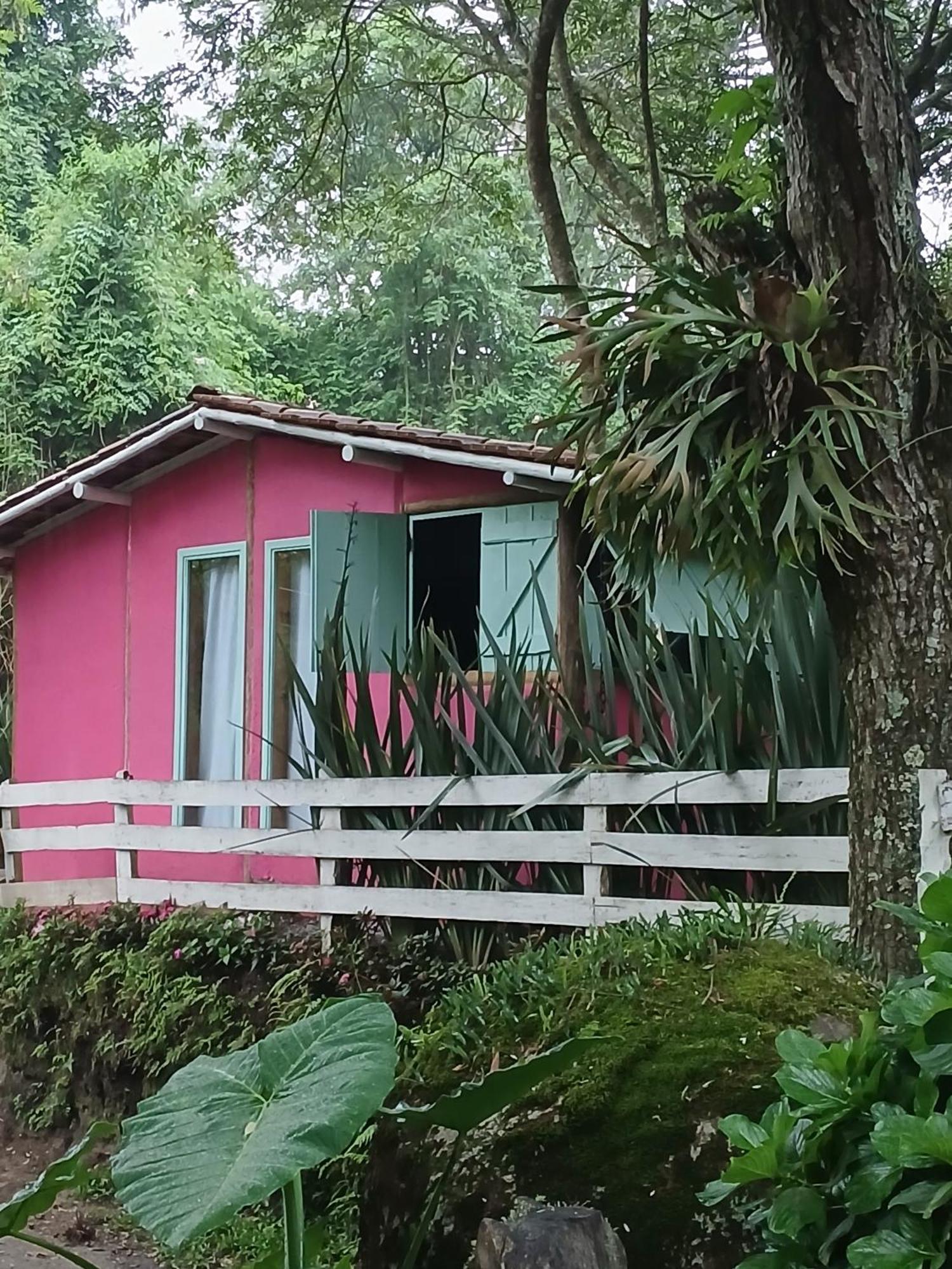 Bungalow Garden View