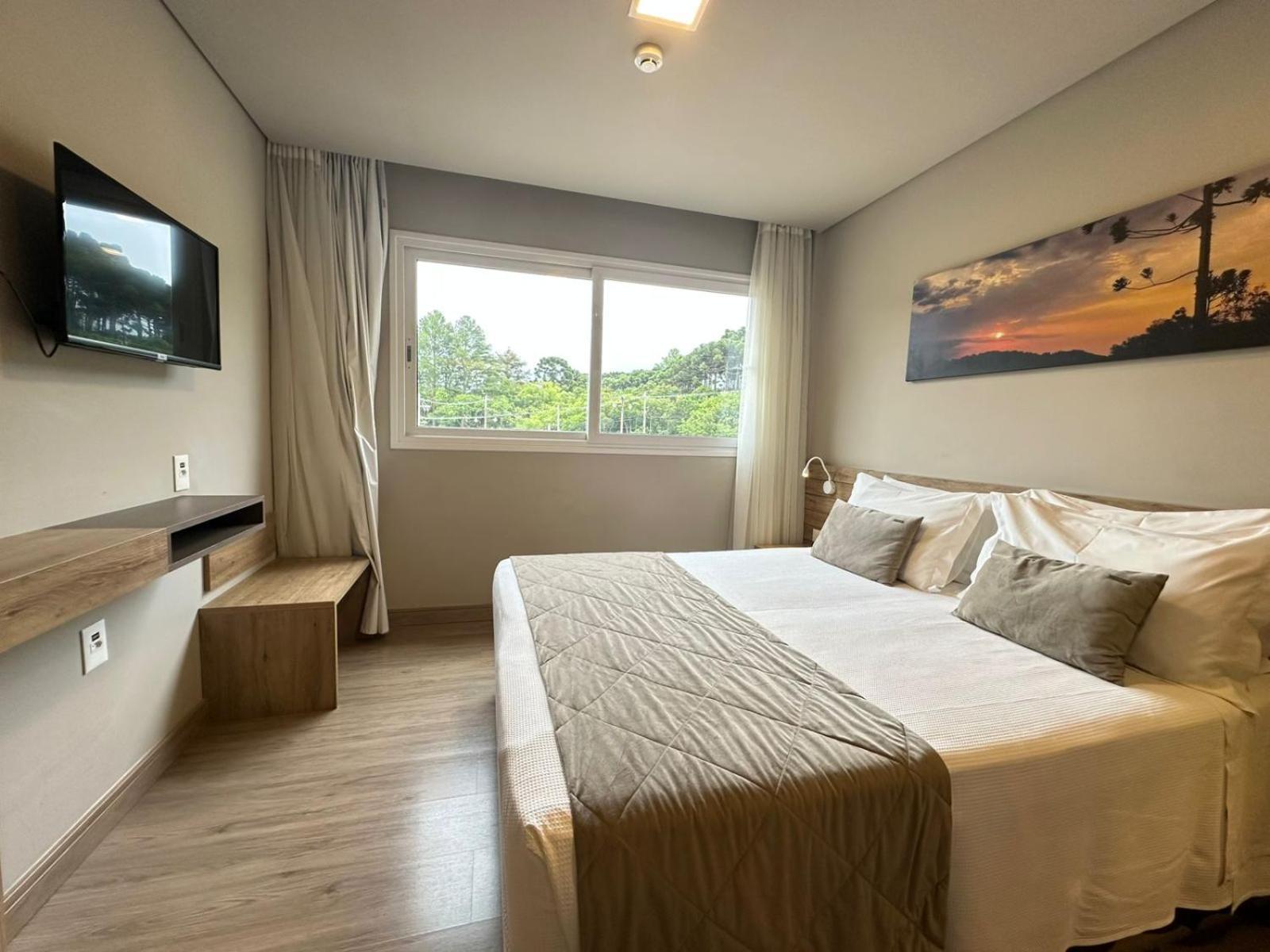 Deluxe One-Bedroom Apartment