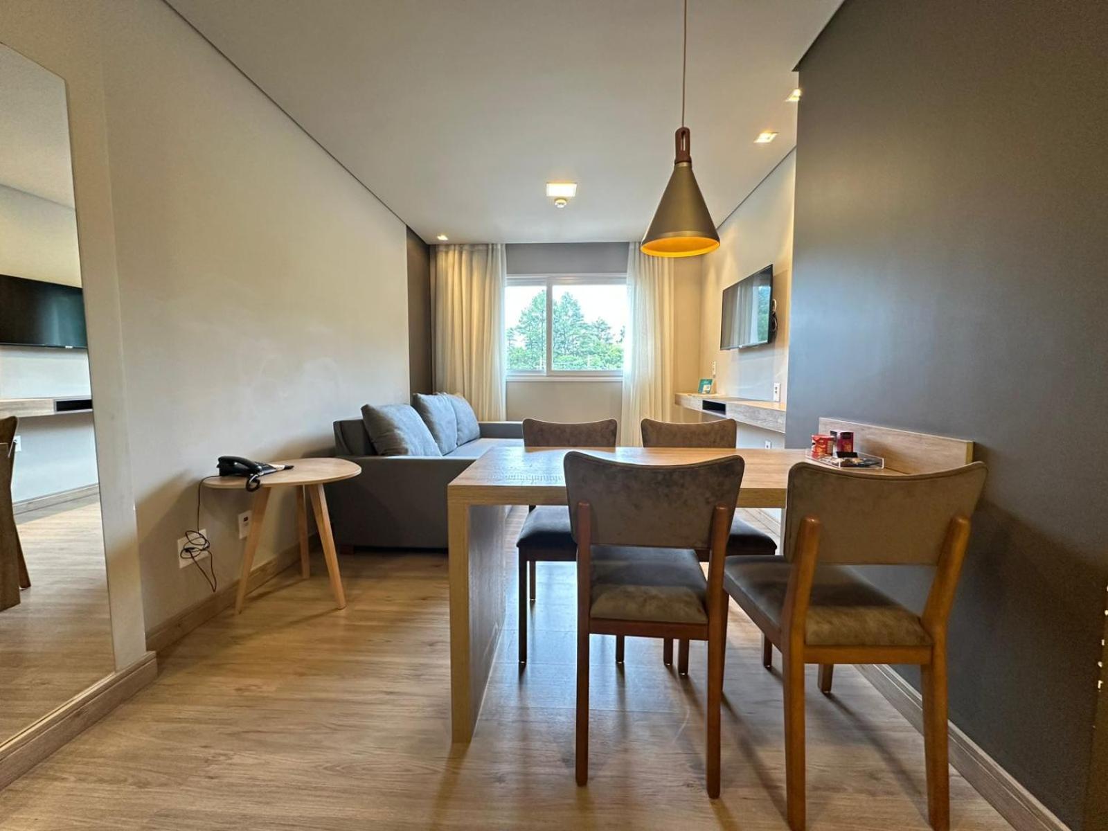 Deluxe One-Bedroom Apartment