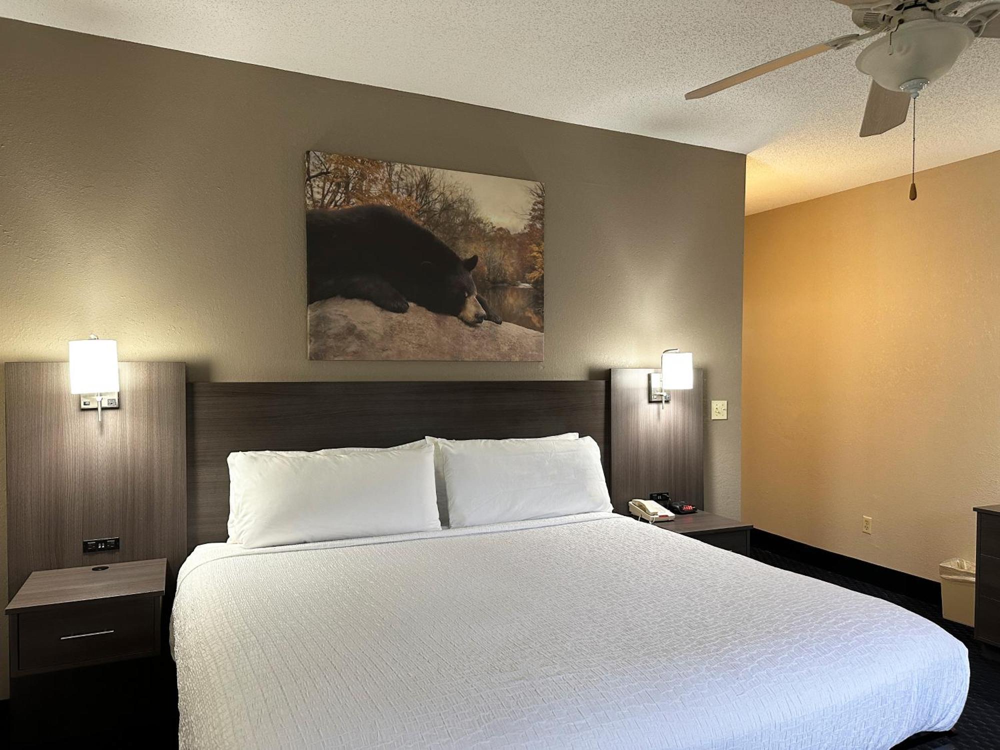 Deluxe King Room No pets
