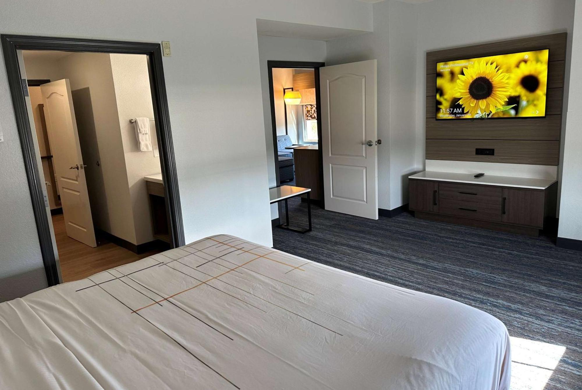One-Bedroom King Suite Non-Smoking